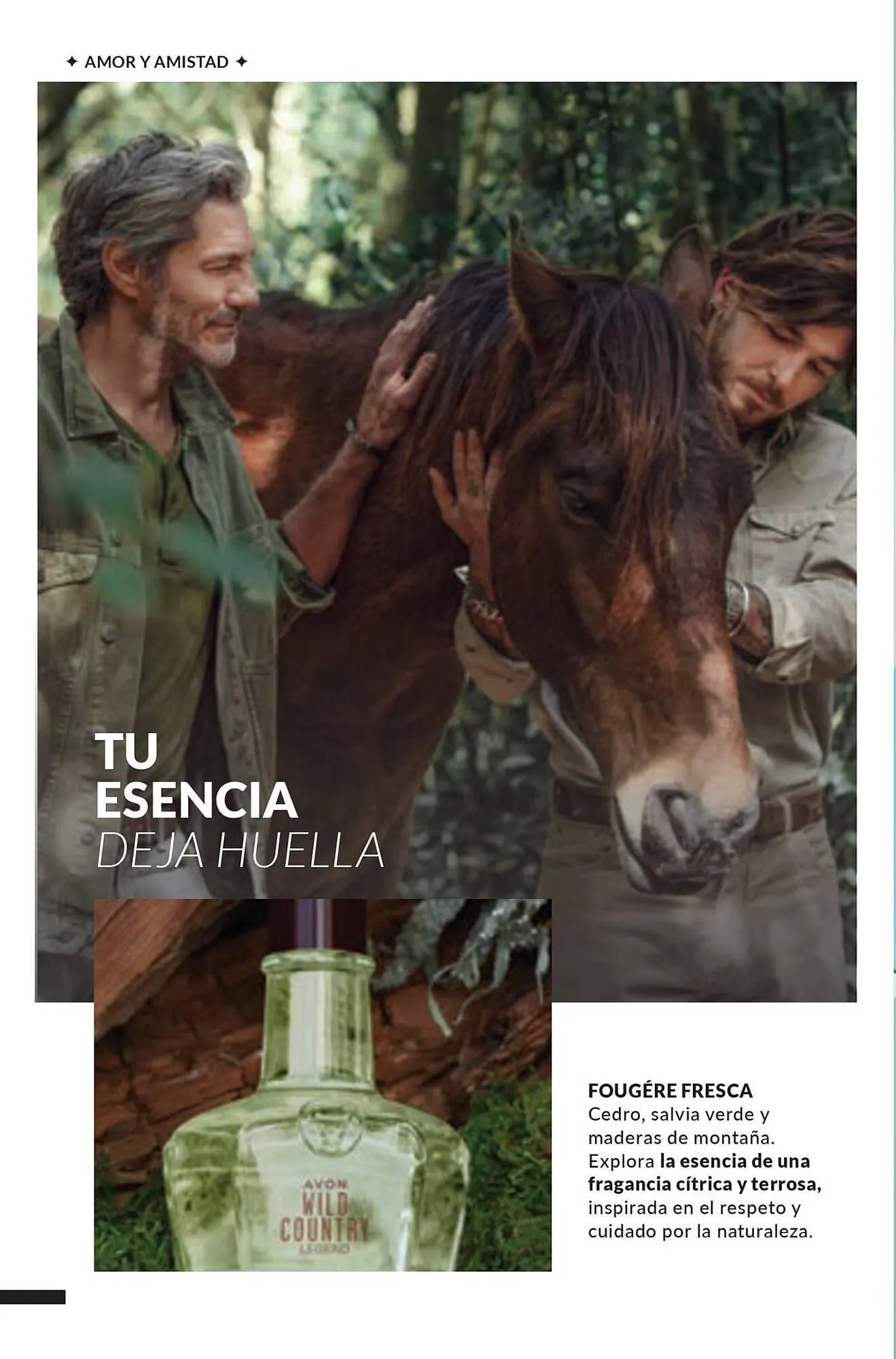 Catalogo de Catálogo AVON 9 de febrero al 2 de marzo 2025 - Pag 180