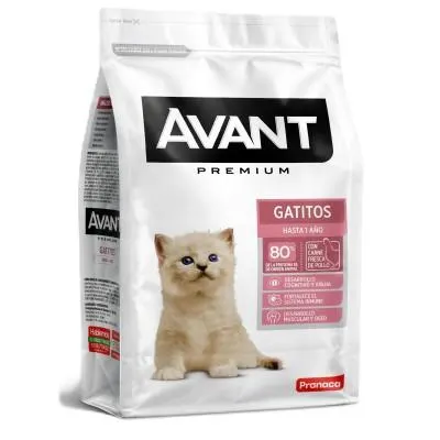 AVANT GATITOS