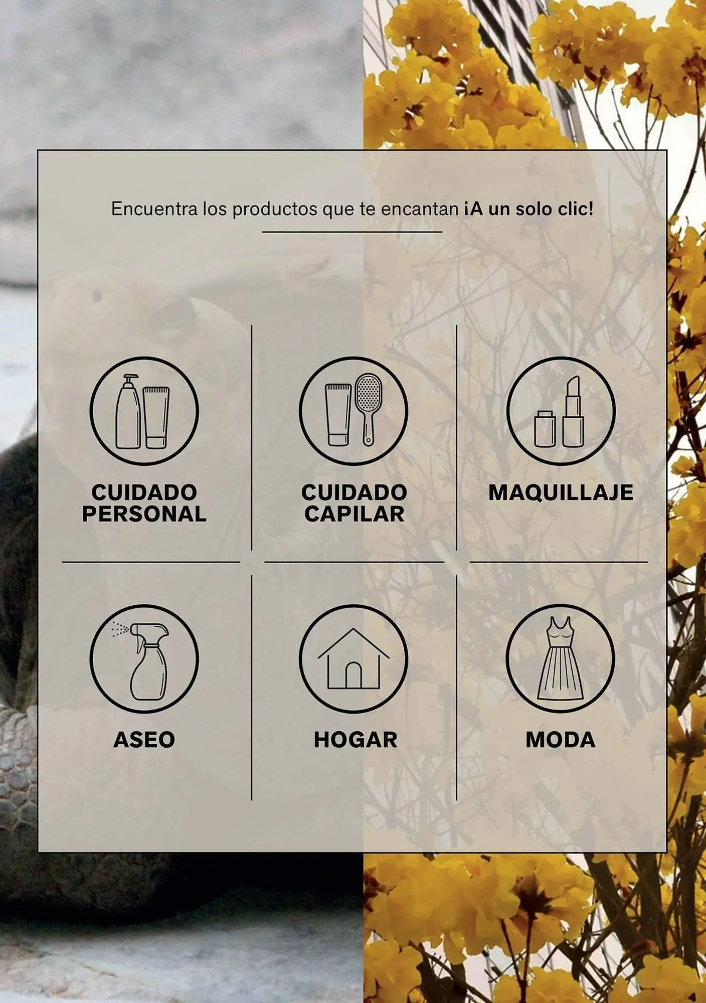 Catalogo de Catálogo Leonisa 10 de octubre al 11 de noviembre 2025 - Pag 3