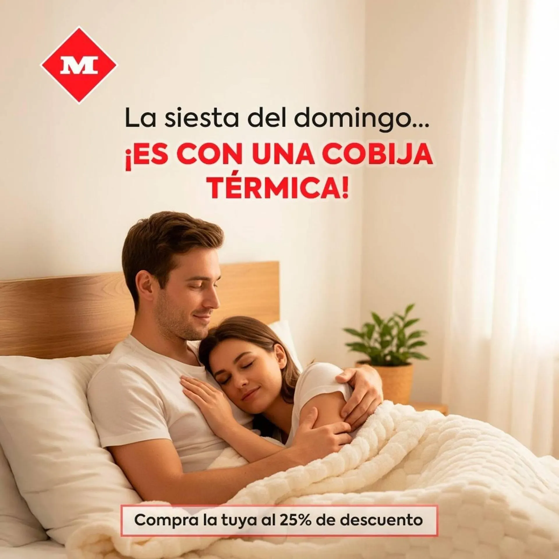 Catálogo Megamaxi - 1