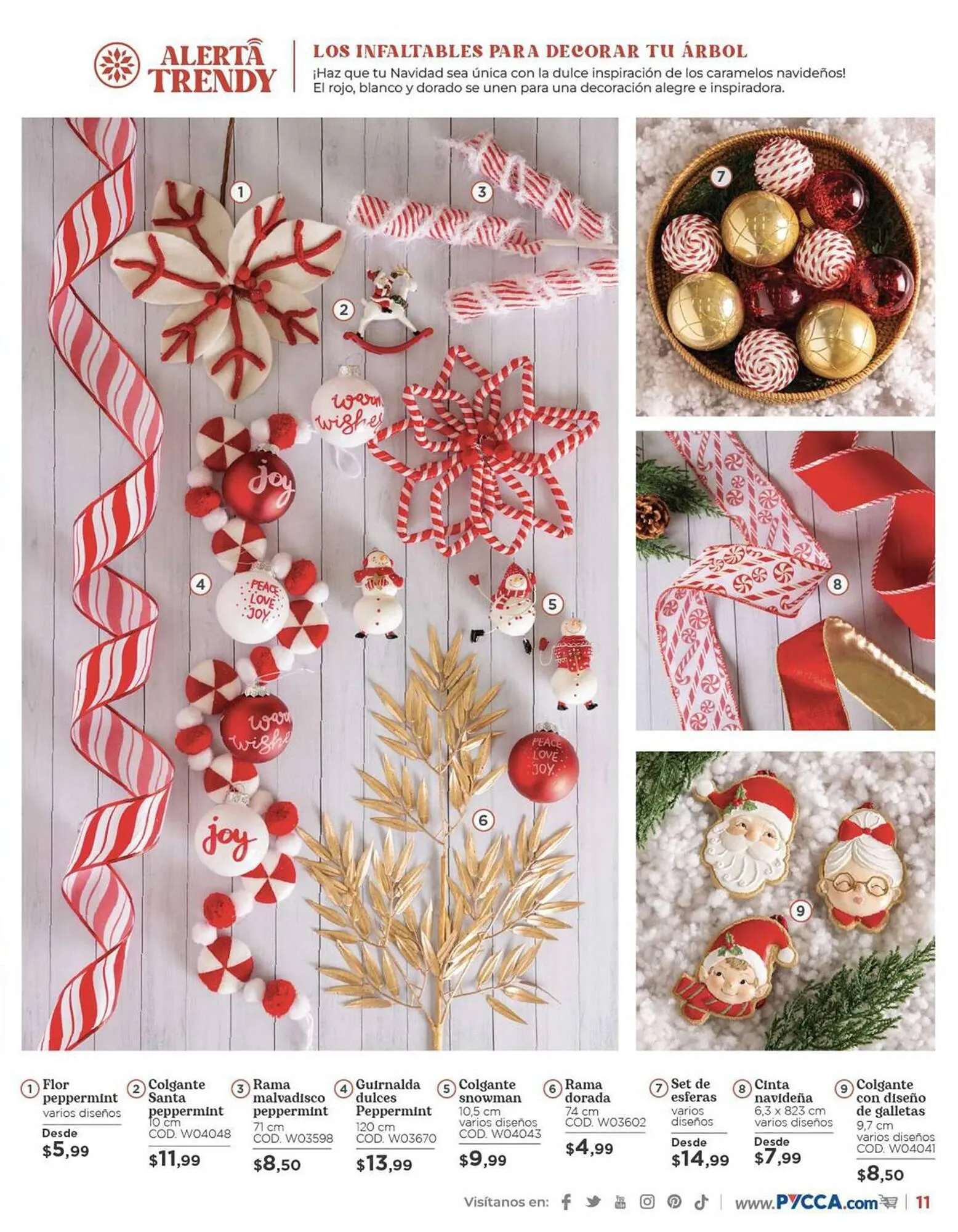 Catalogo de Catálogo Pycca 18 de octubre al 21 de noviembre 2023 - Pag 13