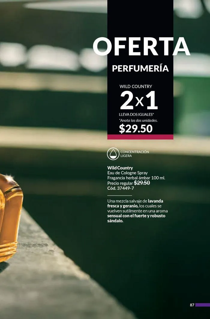 Catalogo de Inspiración para mi lista de deseos C/14 26 de agosto al 16 de septiembre 2024 - Pag 87