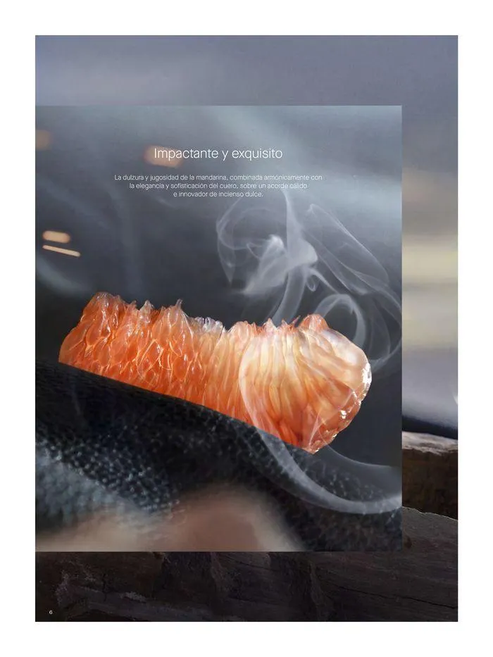 Catalogo de Un amor único, una conexión natural. 20 de mayo al 14 de junio 2024 - Pag 8