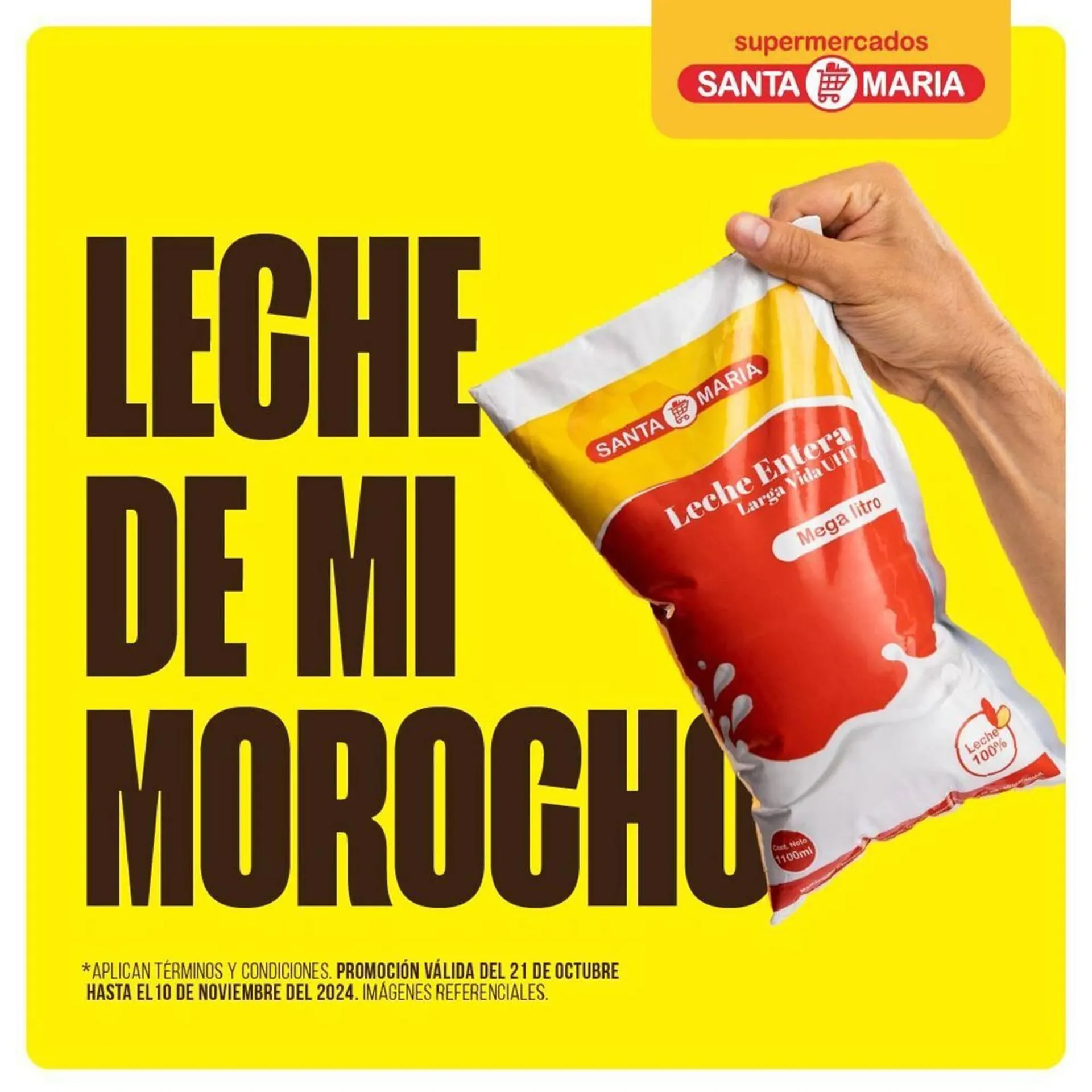 Catalogo de Catálogo Santa Maria 24 de octubre al 10 de noviembre 2024 - Pag 7