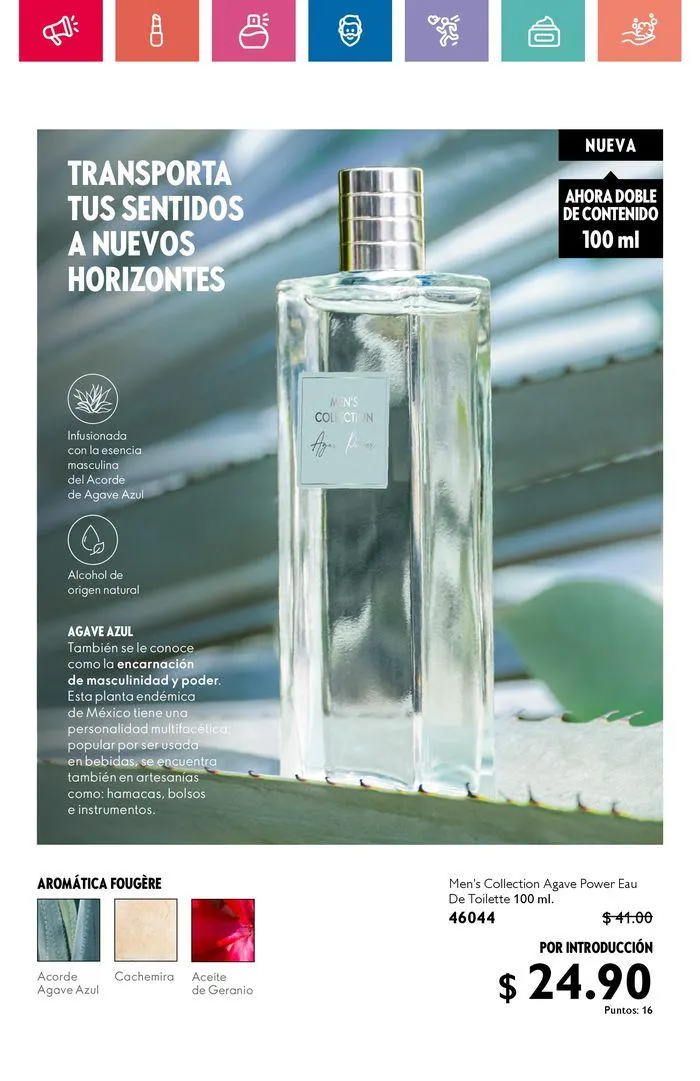 Catalogo de Revela tu auténtica belleza 19 de agosto al 6 de septiembre 2024 - Pag 5