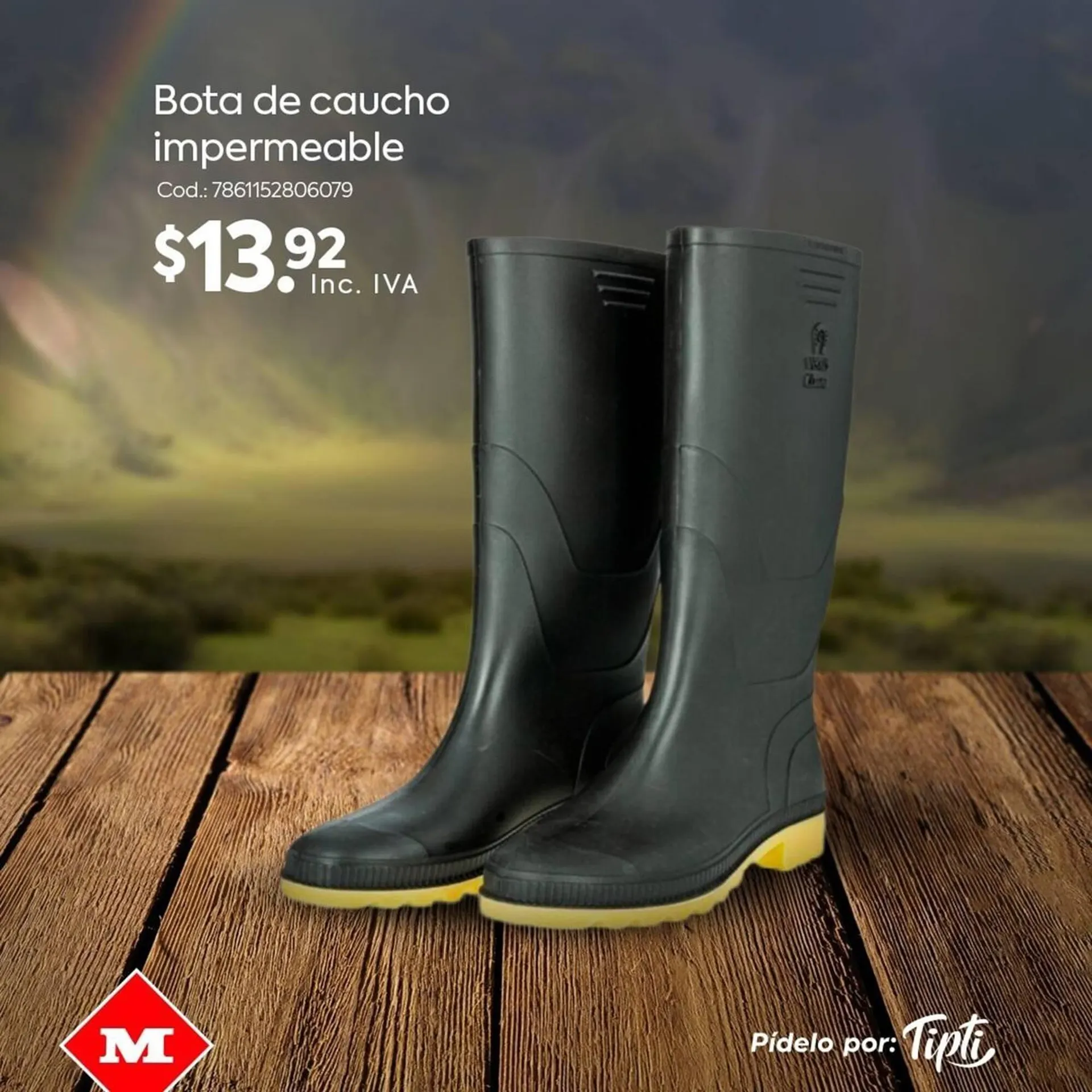 Catálogo Megamaxi - 4