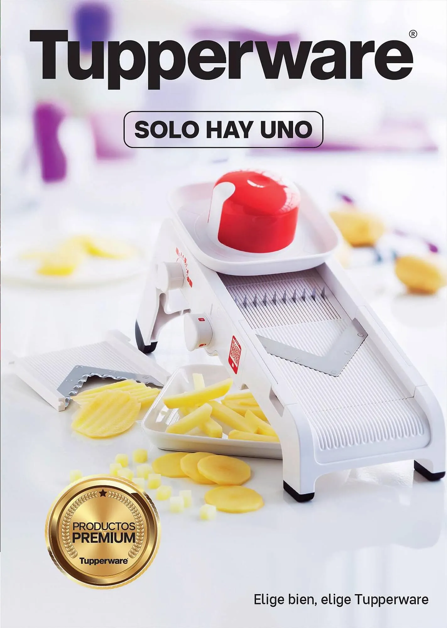 Catálogo Tupperware - 1