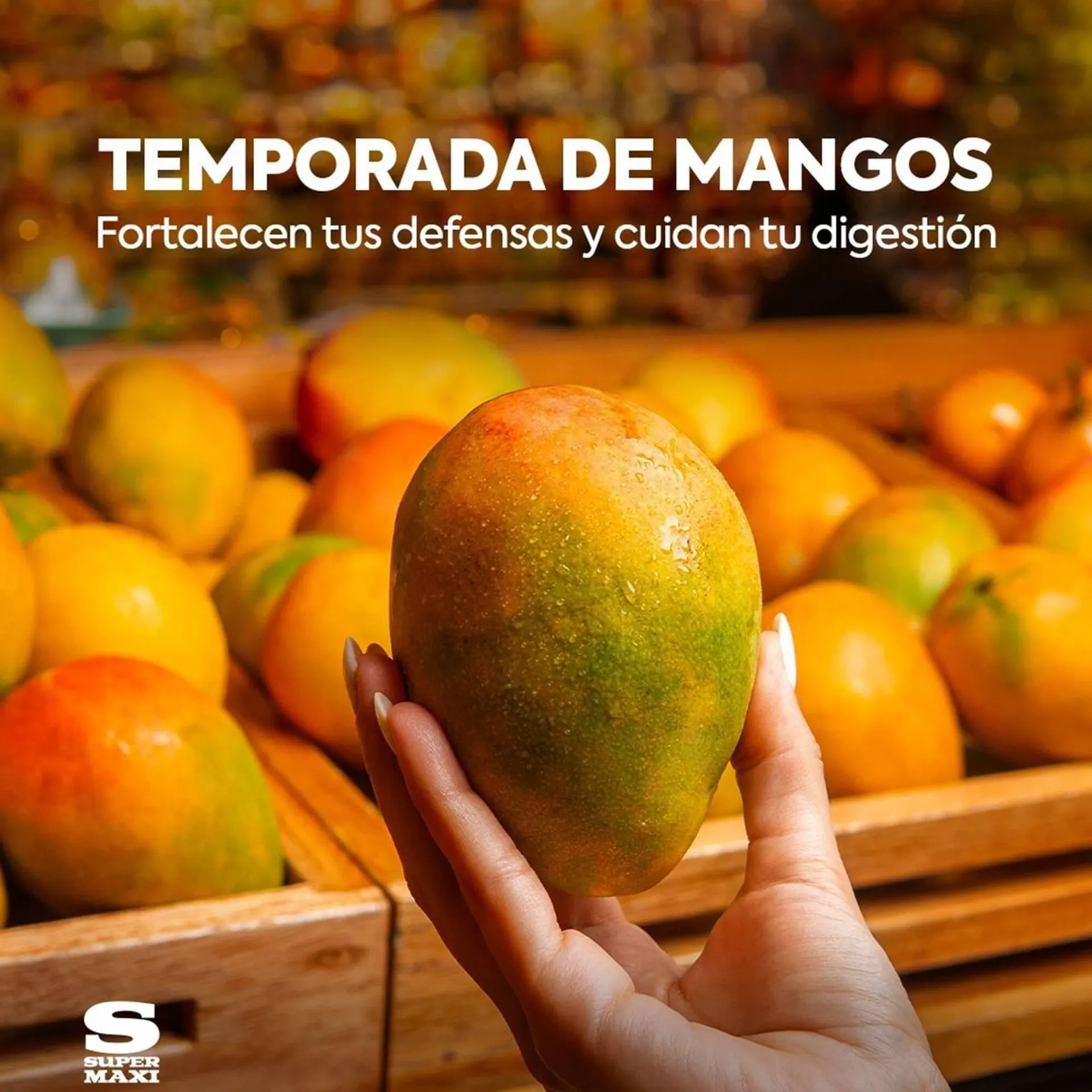 Catálogo Supermaxi - 1