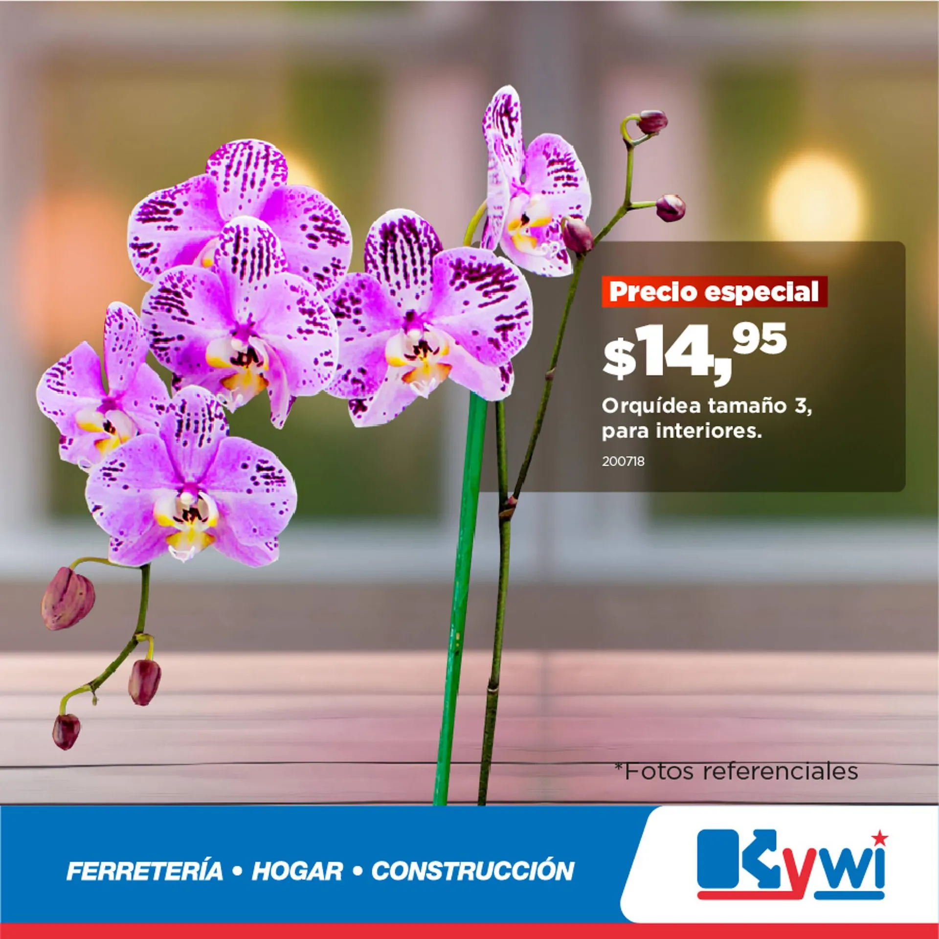 Catalogo de Catálogo Kywi 4 de marzo al 9 de marzo 2025 - Pag 2