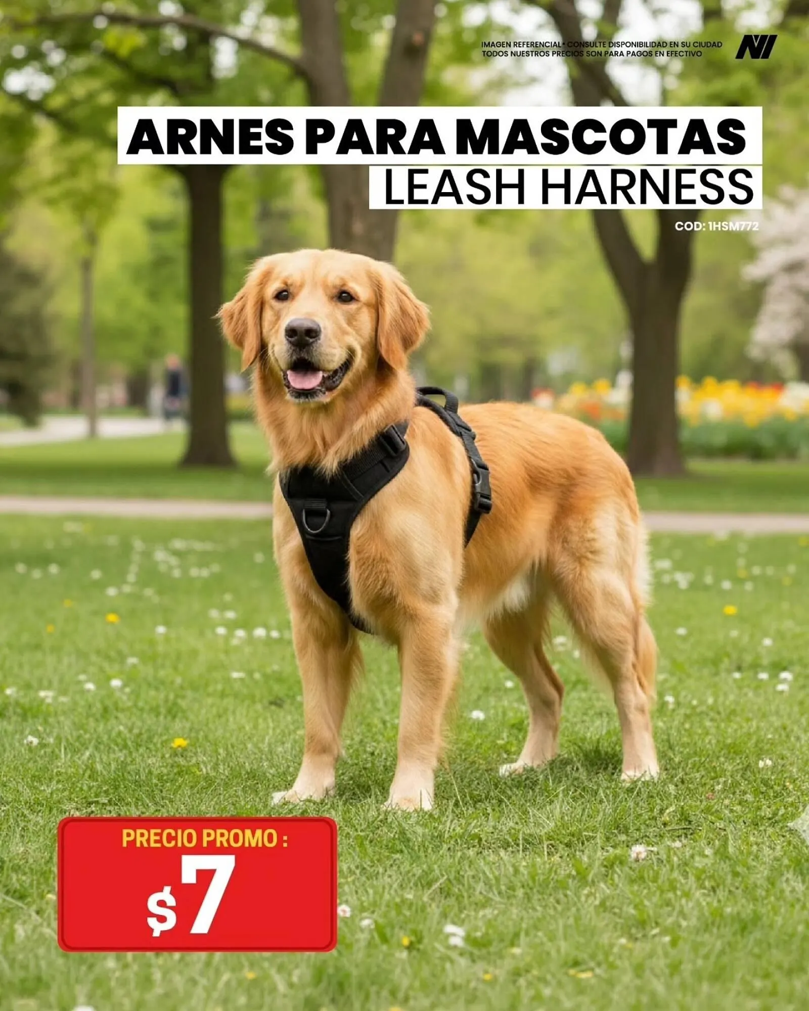 Catalogo de Catálogo Novicompu 20 de febrero al 28 de febrero 2026 - Pag 5