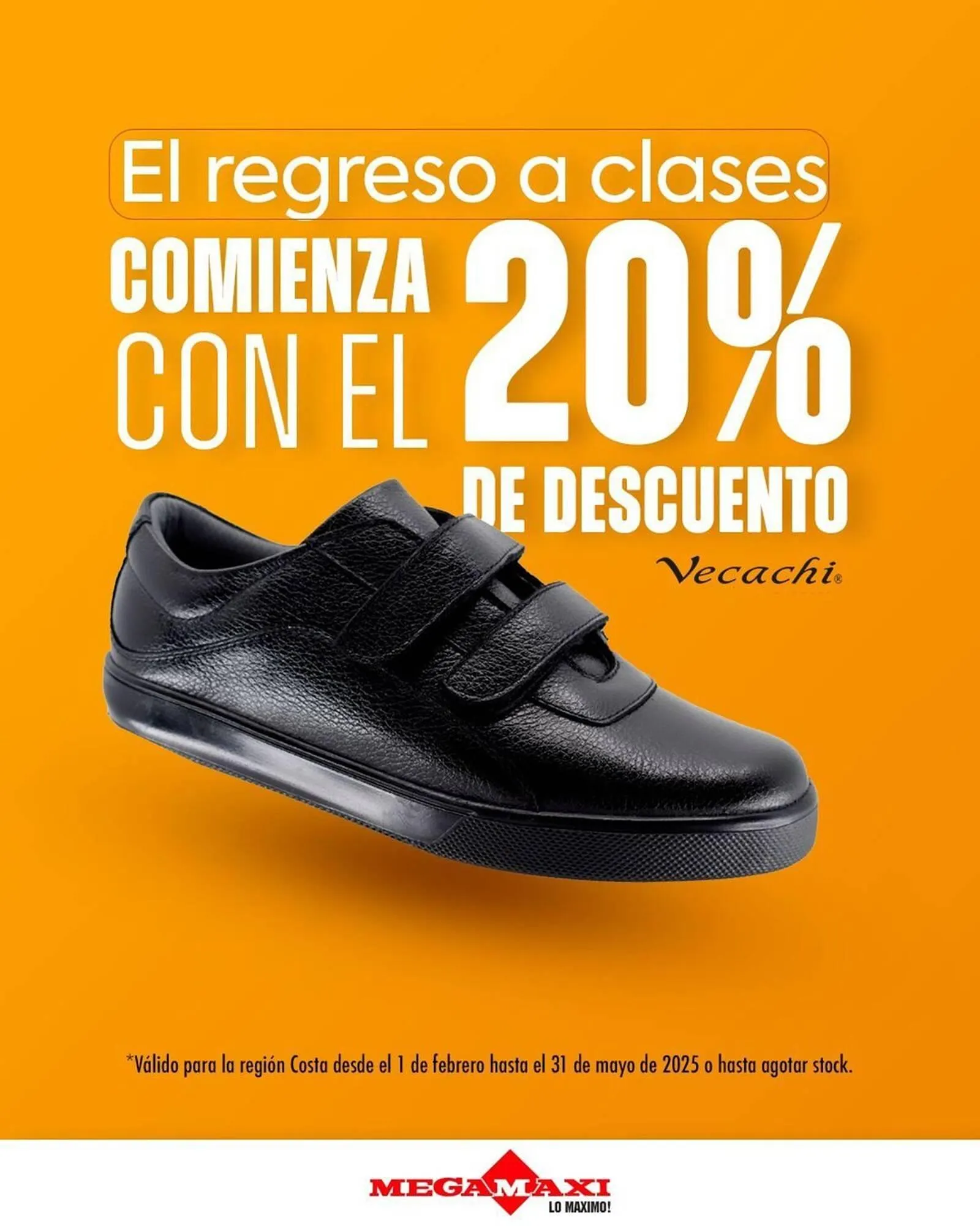 Catalogo de Catálogo Megamaxi 11 de febrero al 24 de febrero 2025 - Pag 8