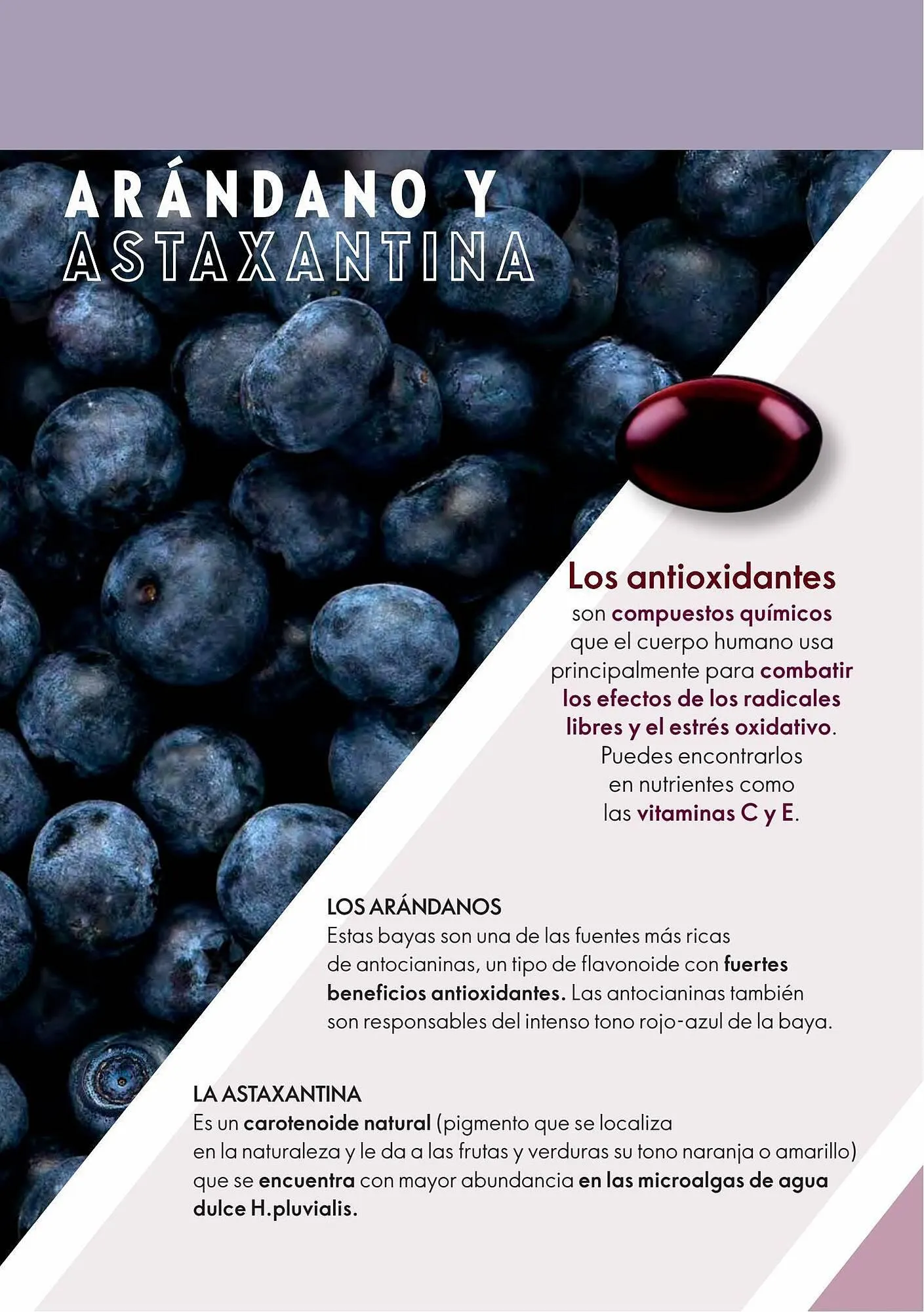 Catalogo de Catálogo Oriflame 28 de agosto al 3 de septiembre 2023 - Pag 104