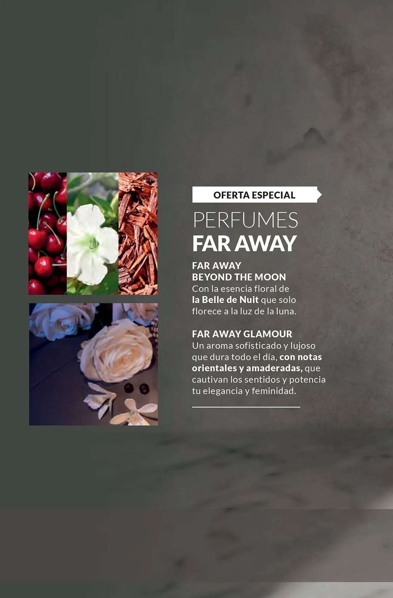 Catalogo de Catálogo AVON 3 de marzo al 31 de marzo 2025 - Pag 62