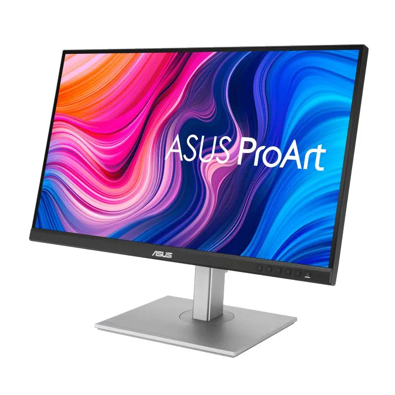 Asus - Monitor PA247CV 24 Pulgadas | Negro/Gris