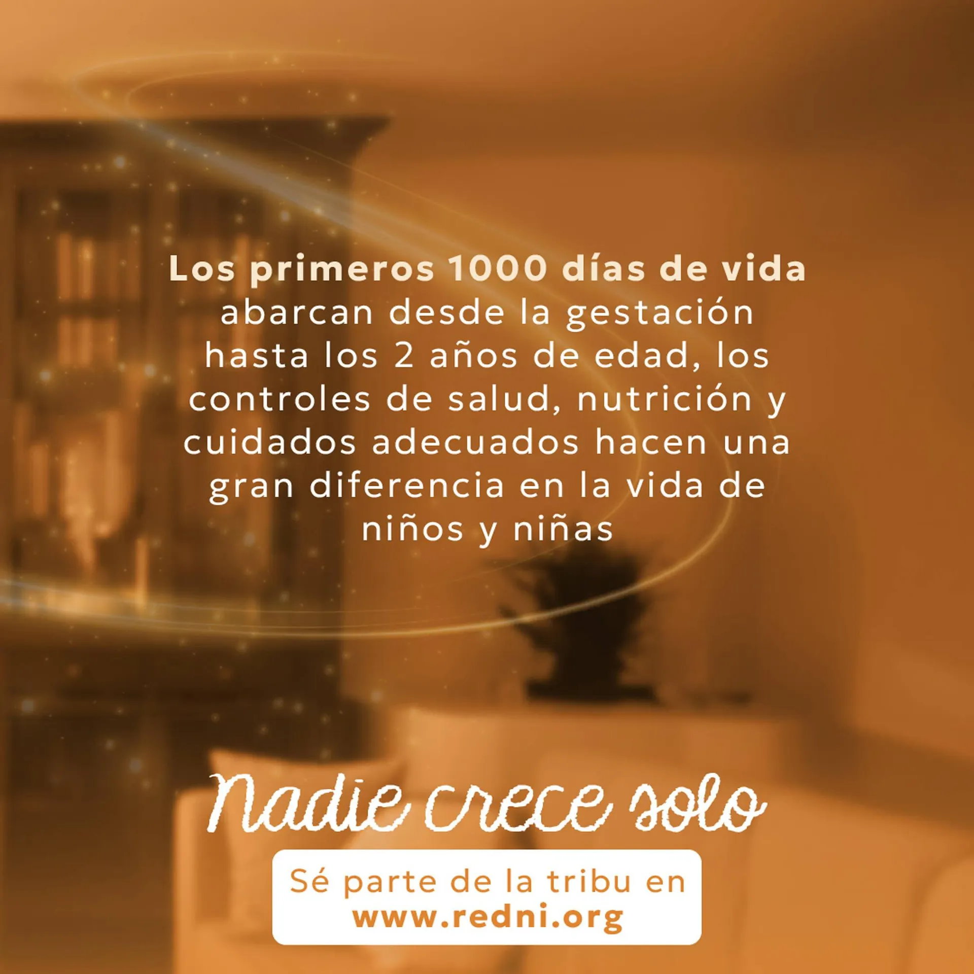 Catalogo de Catálogo Kywi 12 de mayo al 18 de mayo 2026 - Pag 2