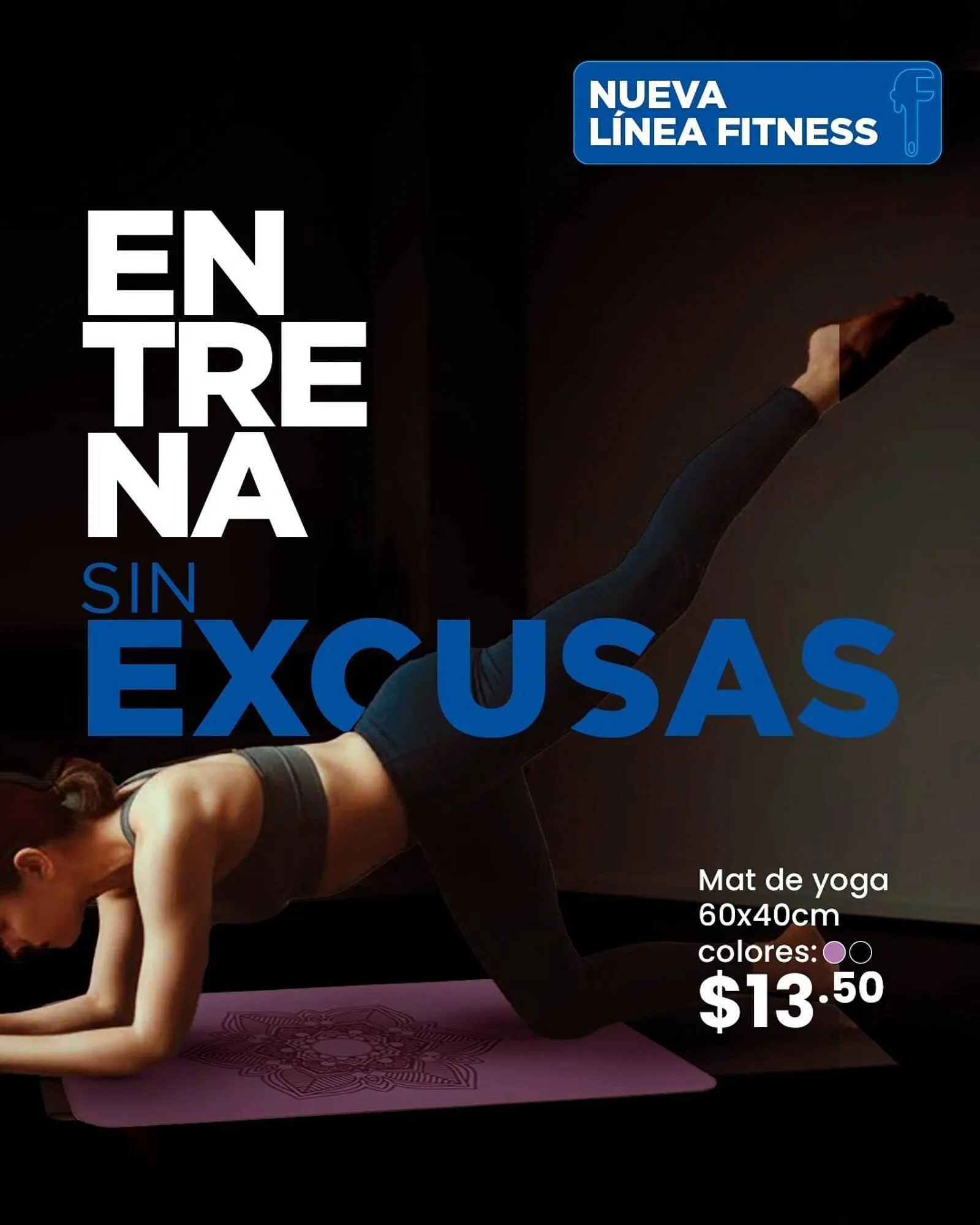 Catalogo de Catálogo Ferrisariato 12 de enero al 18 de enero 2026 - Pag 3