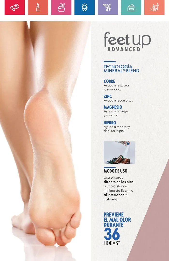 Catalogo de Revela tu auténtica belleza  19 de agosto al 6 de septiembre 2024 - Pag 98