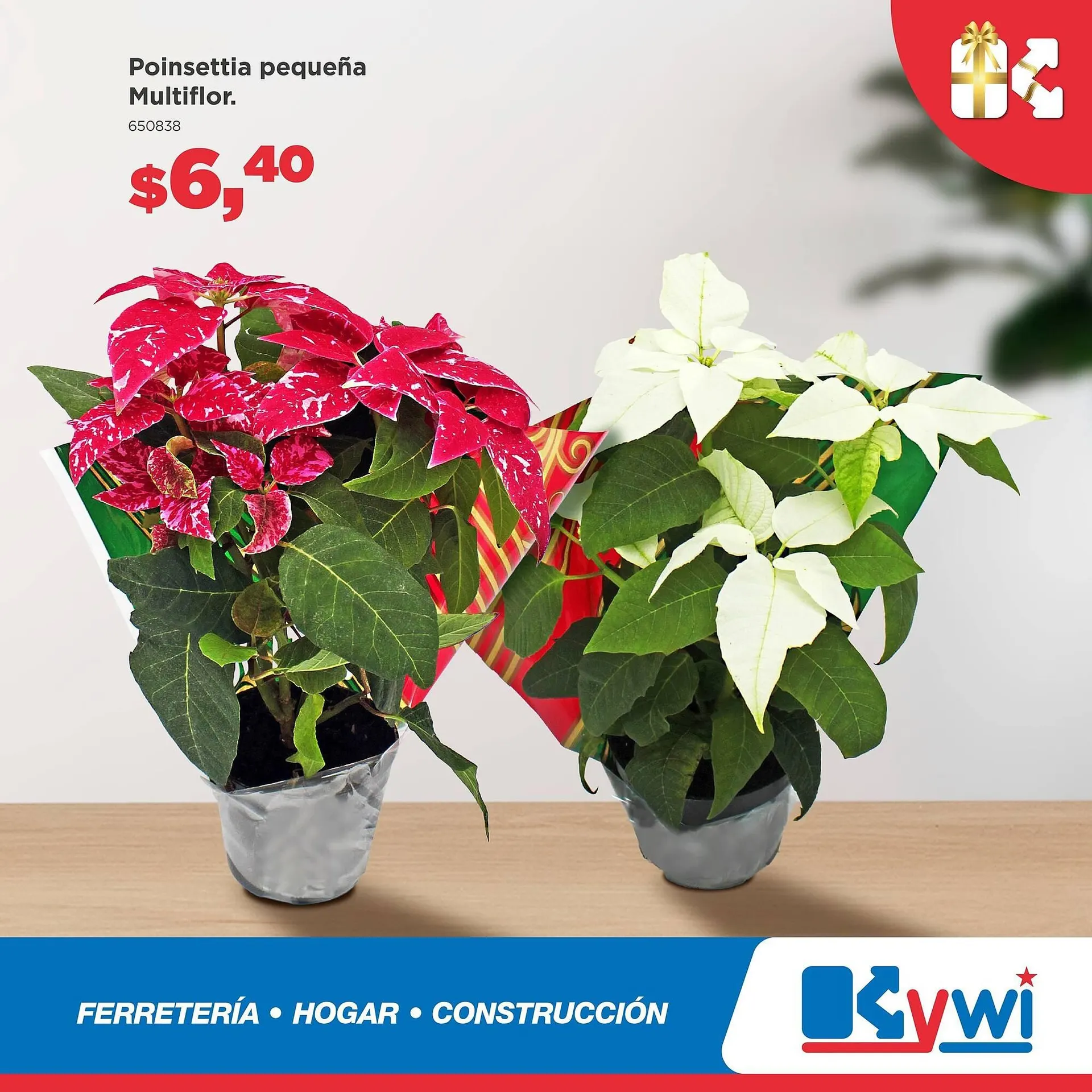 Catalogo de Catálogo Kywi 1 de diciembre al 7 de diciembre 2025 - Pag 3