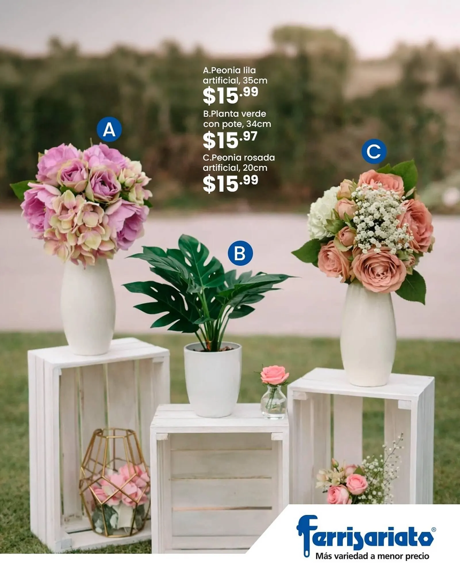 Catalogo de Catálogo Ferrisariato 5 de marzo al 5 de marzo 2026 - Pag 1