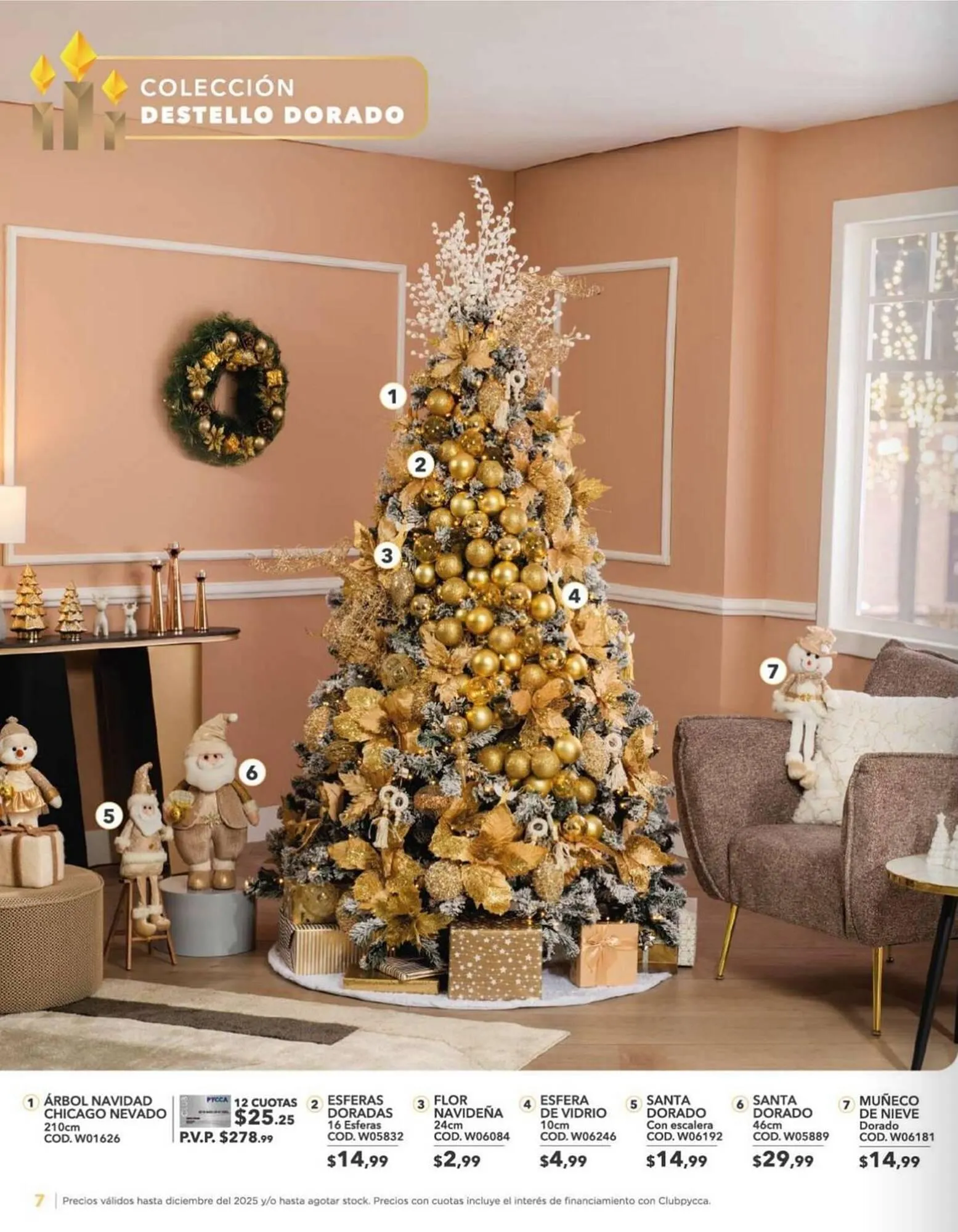 Catalogo de Catálogo Pycca 17 de octubre al 31 de octubre 2025 - Pag 10