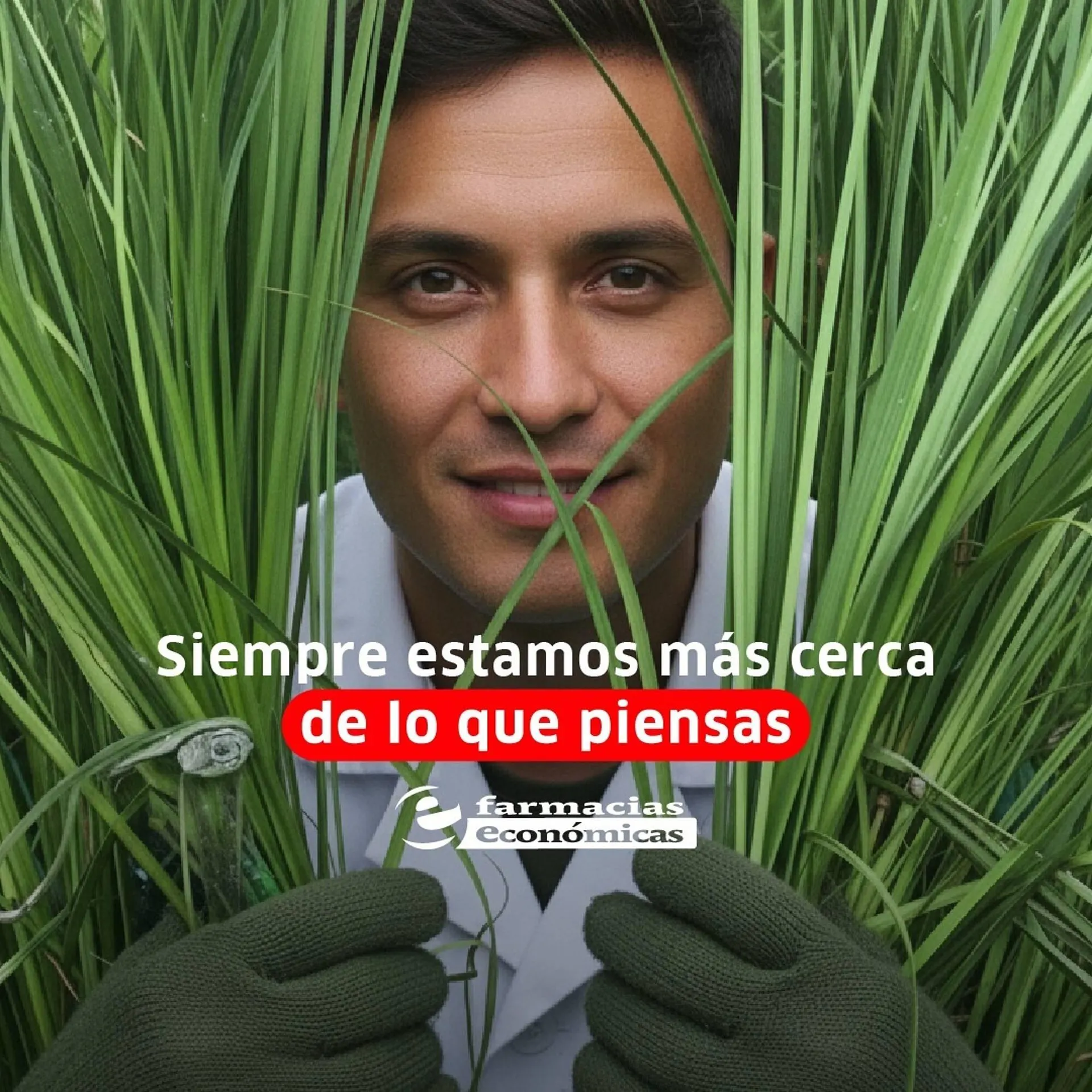 Catalogo de Catálogo Farmacias Económicas 12 de febrero al 12 de febrero 2026 - Pag 2