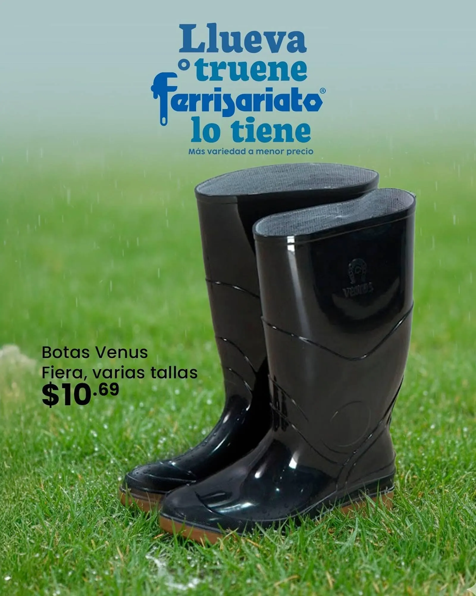 Catalogo de Catálogo Ferrisariato 28 de enero al 10 de febrero 2026 - Pag 3