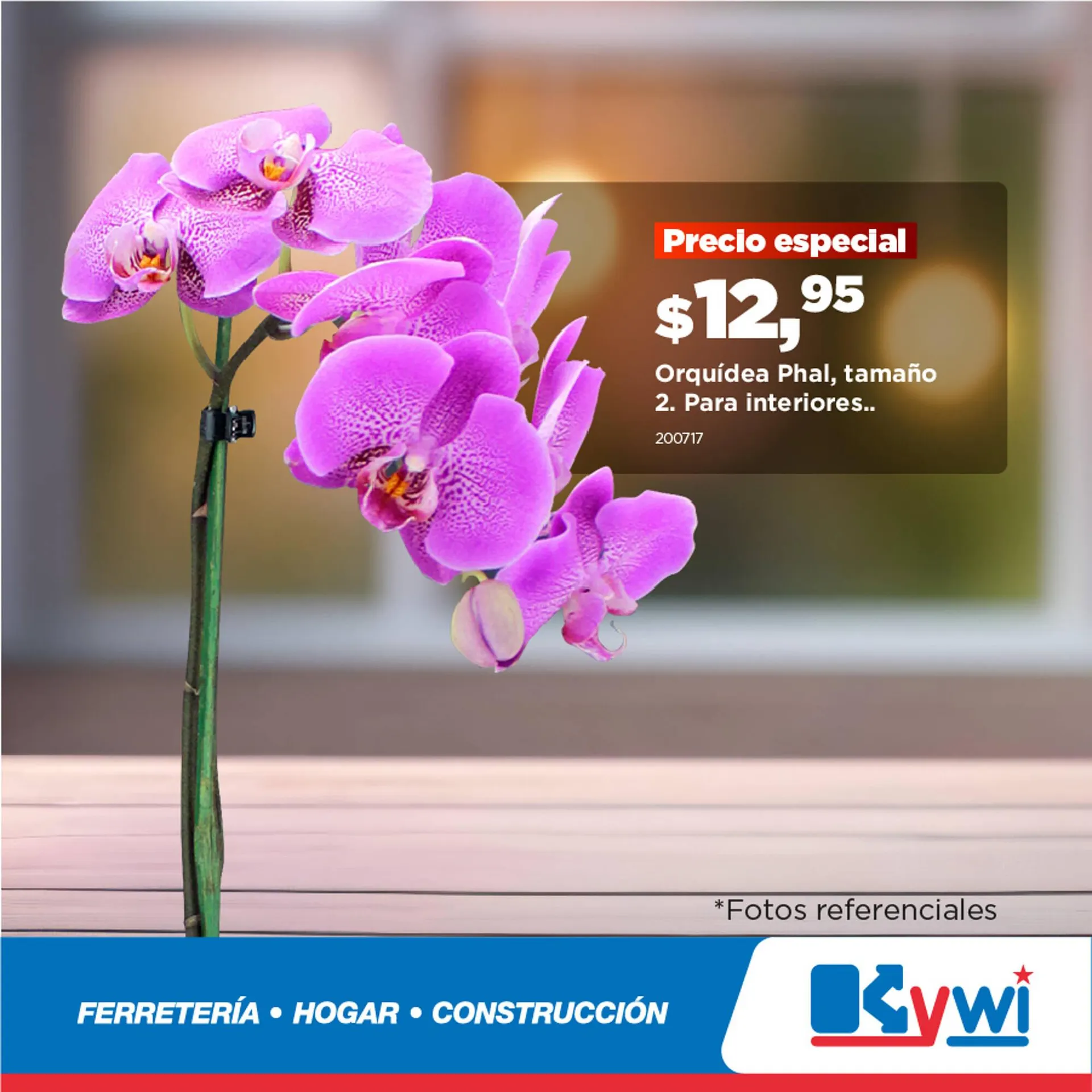 Catalogo de Catálogo Kywi 4 de marzo al 9 de marzo 2025 - Pag 3