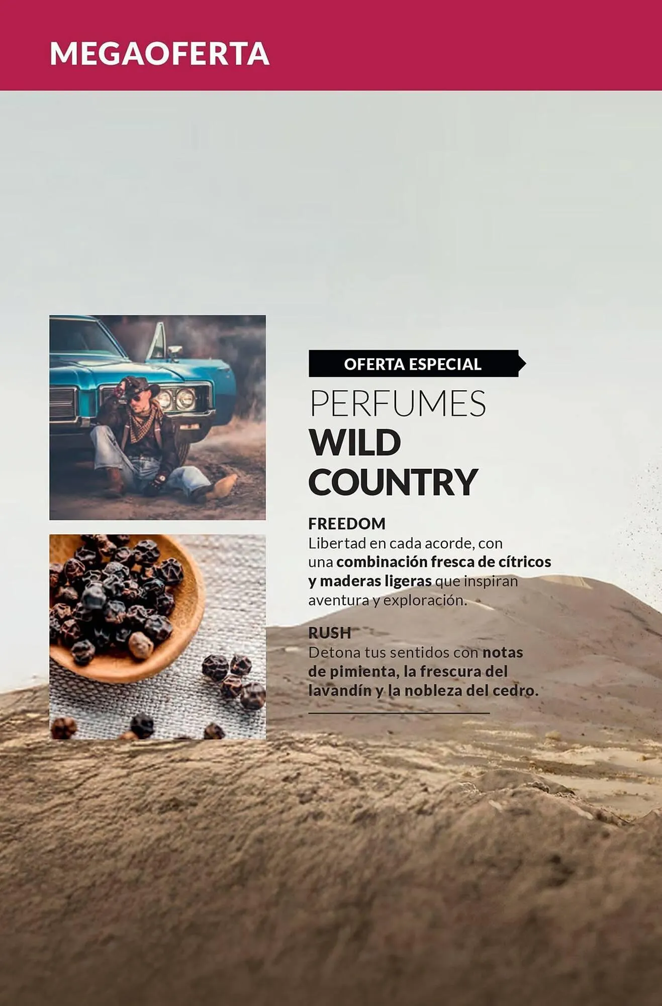 Catalogo de Catálogo AVON 18 de julio al 12 de diciembre 2025 - Pag 94