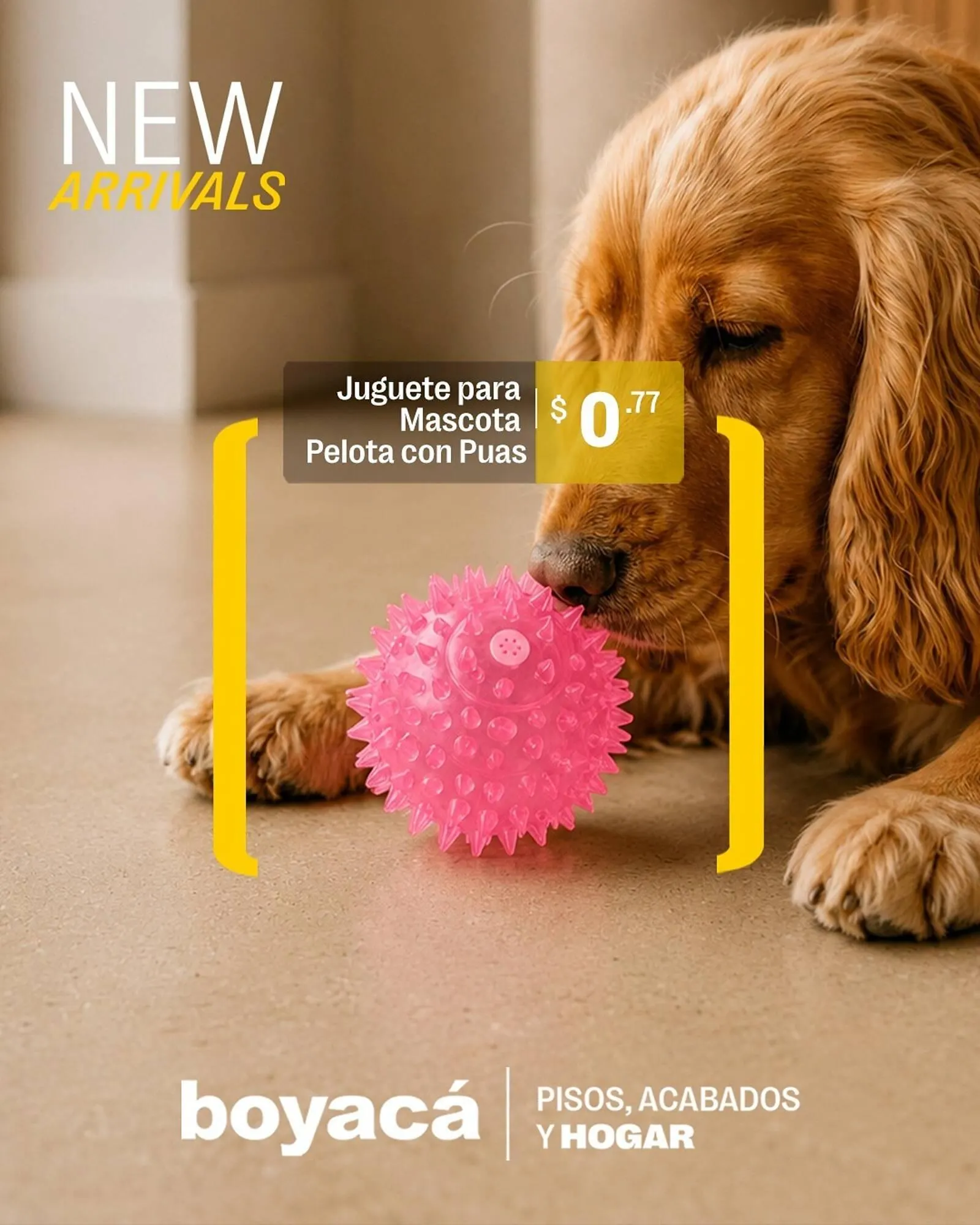 Catalogo de Catálogo Boyacá 8 de mayo al 14 de mayo 2026 - Pag 3