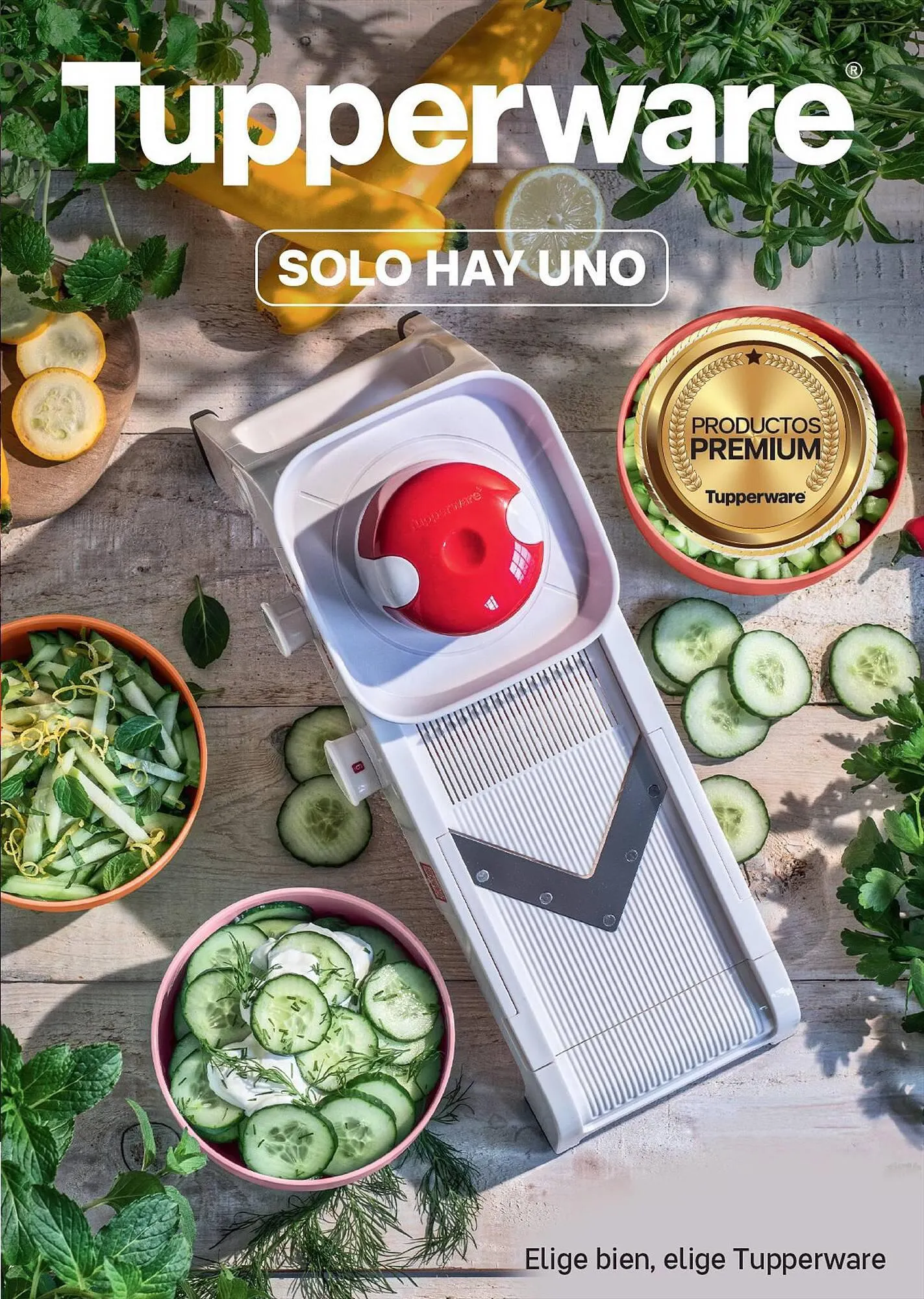 Catálogo Tupperware - 1