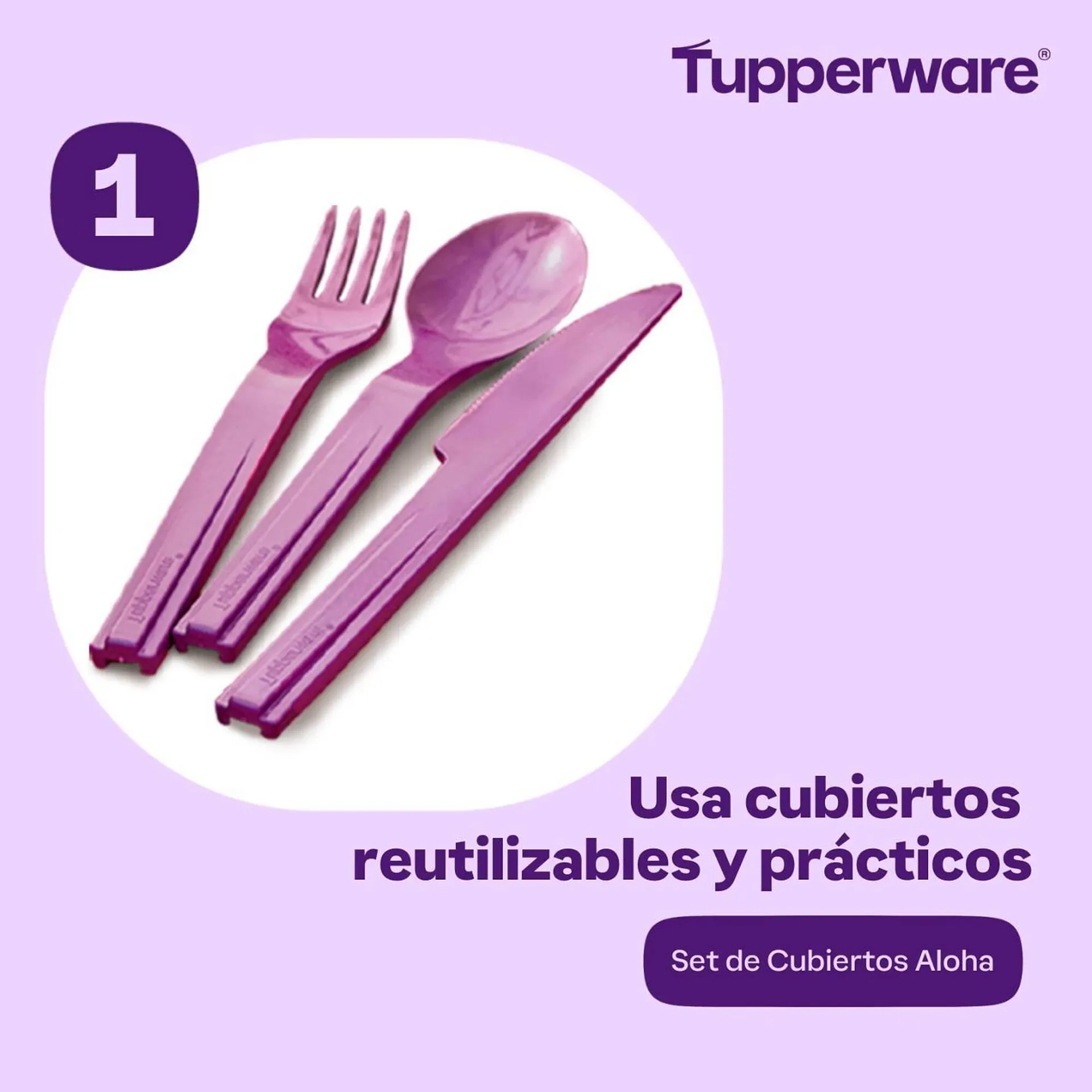 Catalogo de Catálogo Tupperware 30 de marzo al 31 de marzo 2024 - Pag 2