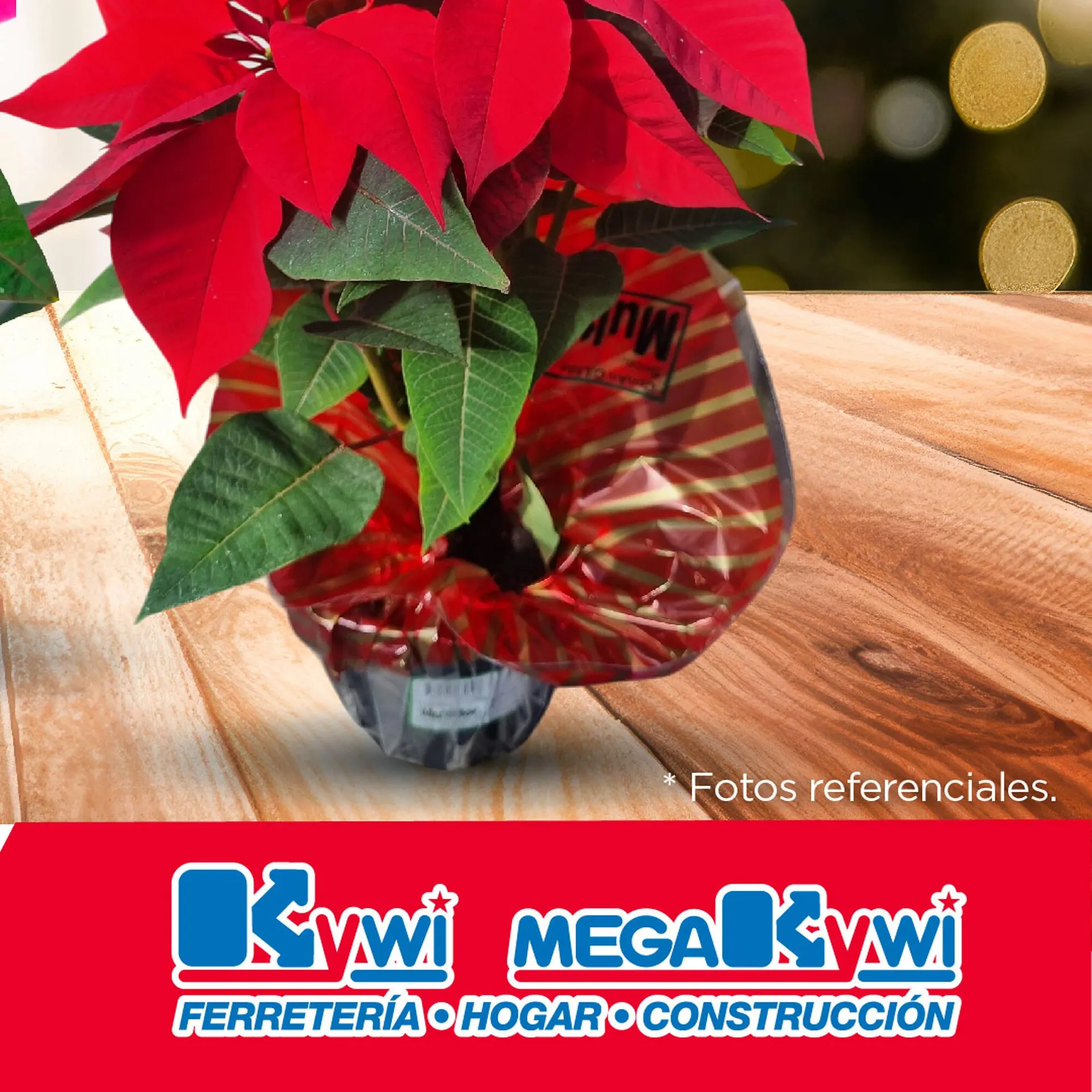 Catalogo de Catálogo Kywi 31 de octubre al 5 de noviembre 2024 - Pag 4