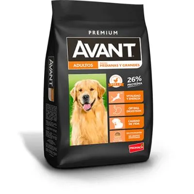 AVANT PERRO ADULTO RAZA MEDIANA Y GRANDE