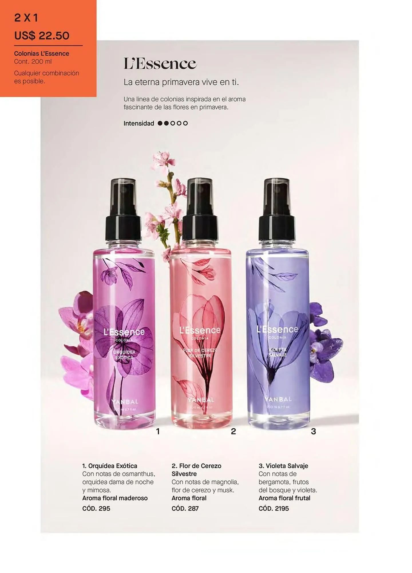 Catalogo de Catálogo Yanbal 3 de febrero al 28 de febrero 2025 - Pag 24