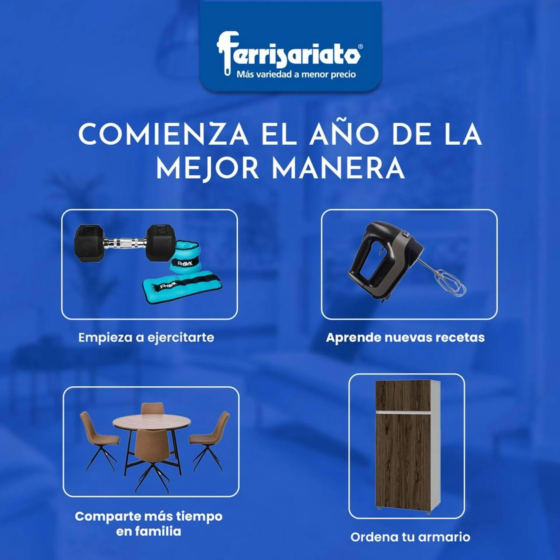 Catalogo de Catálogo Ferrisariato 3 de enero al 31 de enero 2025 - Pag 4