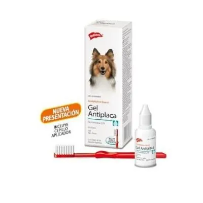 GEL ANTIPLACA CLORHEXIDINA 20 ML