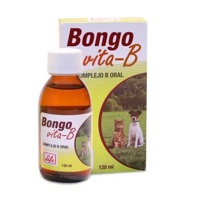 BONGO VITA-B COMPLEJO B 120ML