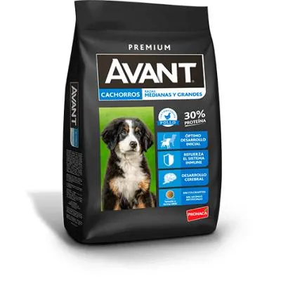 AVANT PERROS CACHORROS RAZAS MEDIANAS Y GRANDES