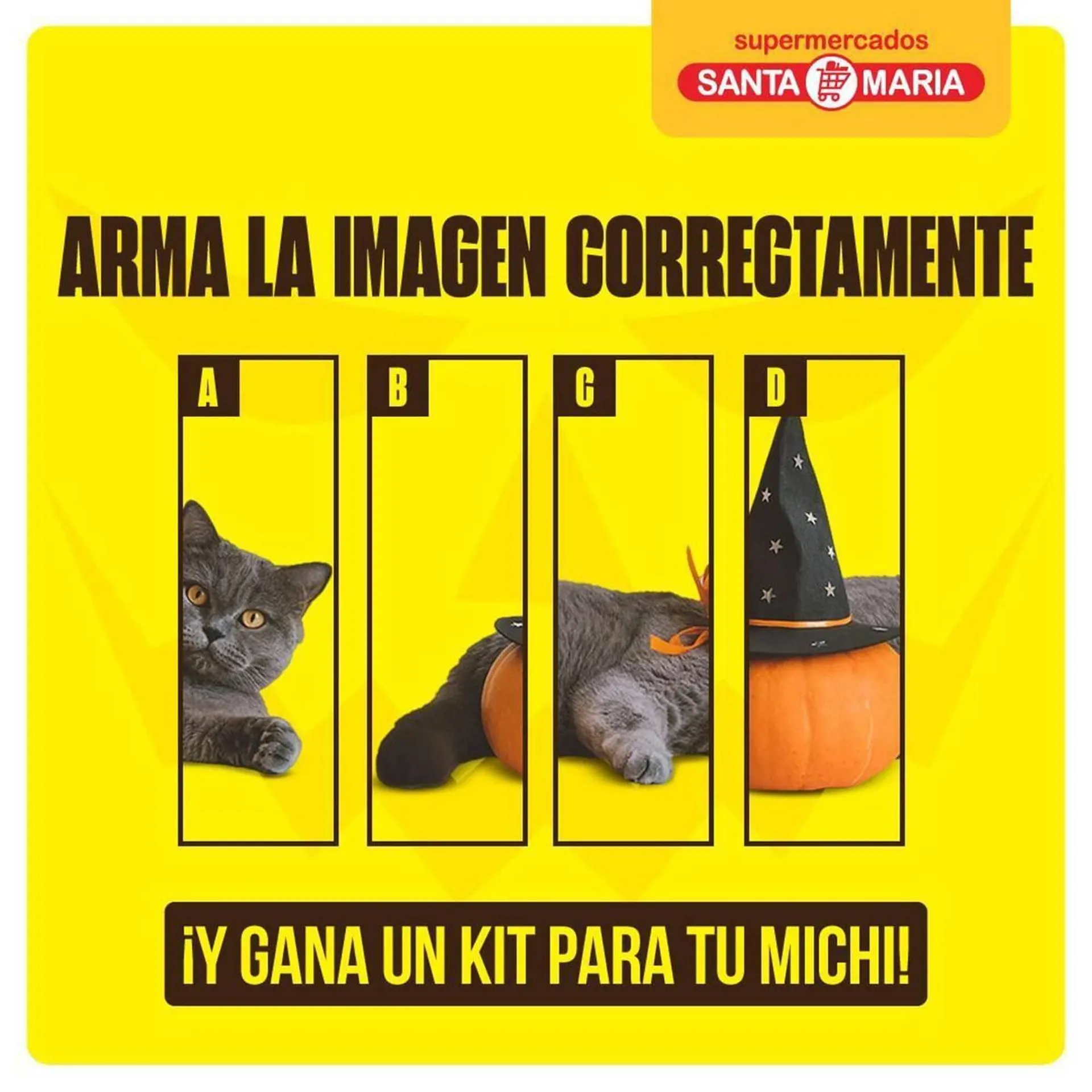 Catalogo de Catálogo Santa Maria 24 de octubre al 10 de noviembre 2024 - Pag 8