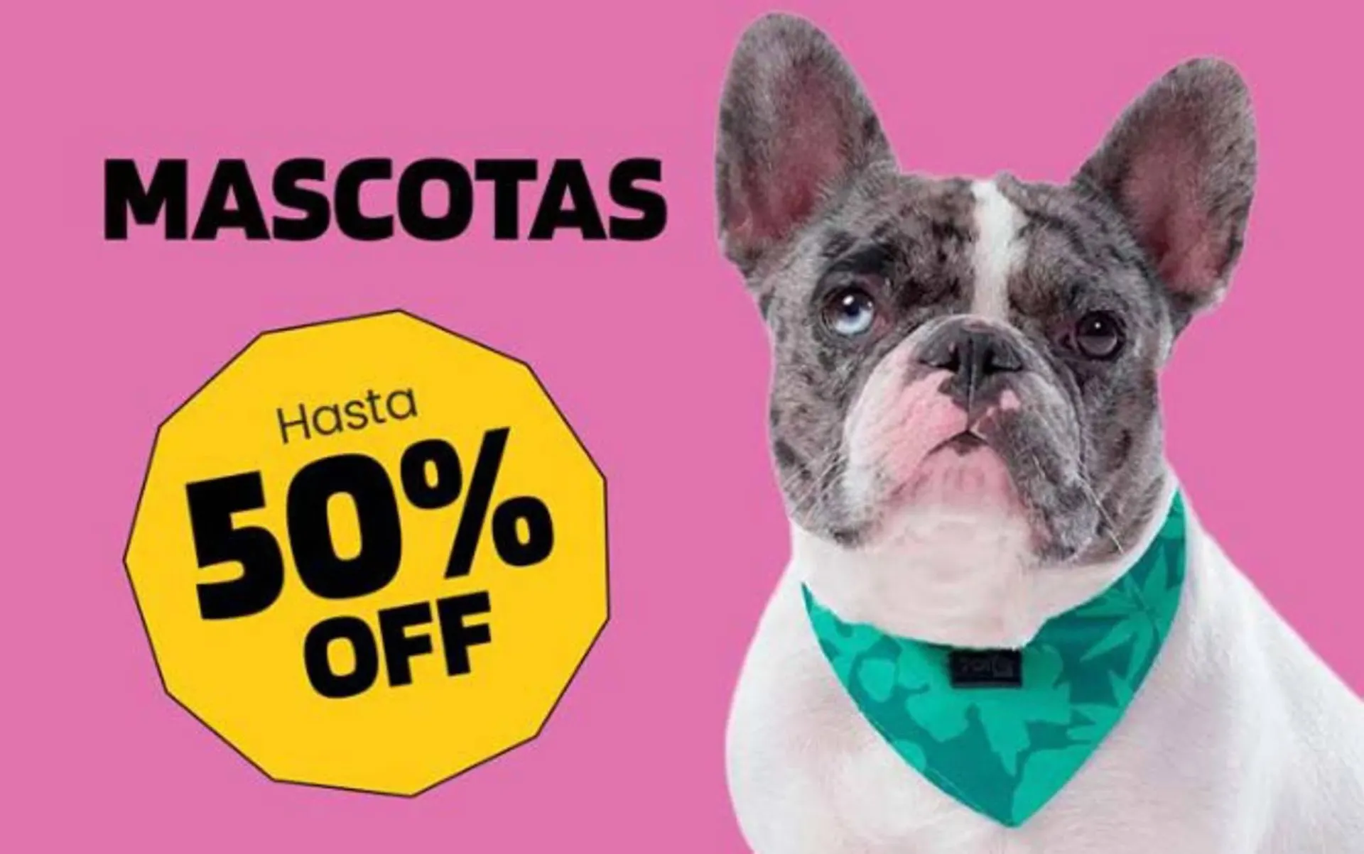 Catalogo de Catálogo Totto 19 de febrero al 21 de marzo 2026 - Pag 4