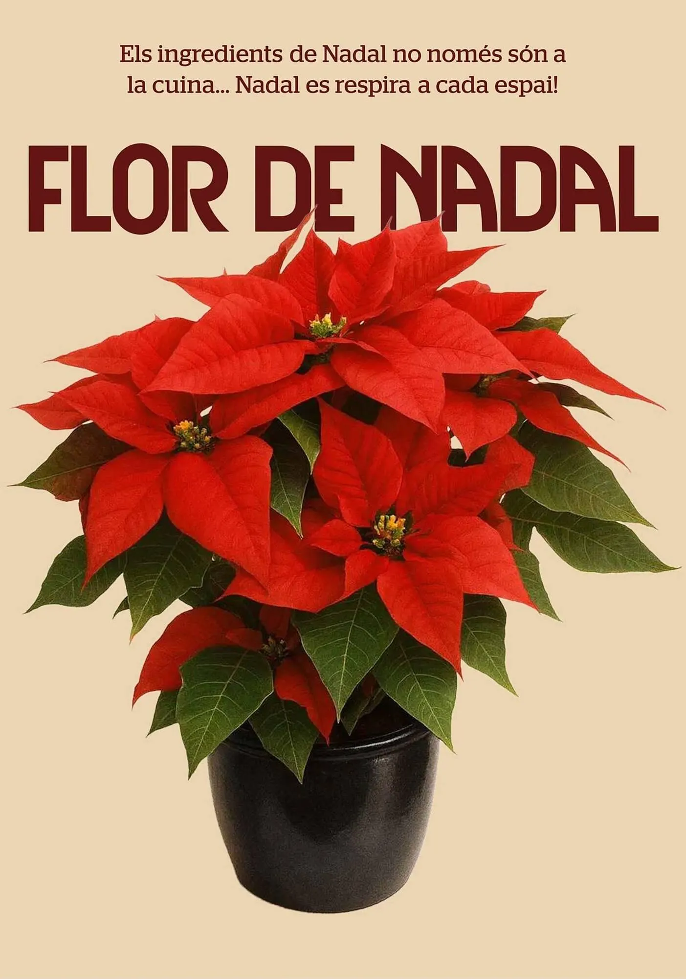 Catálogo de Folleto BonpreuEsclat 3 de diciembre al 31 de diciembre 2025 - Página 60