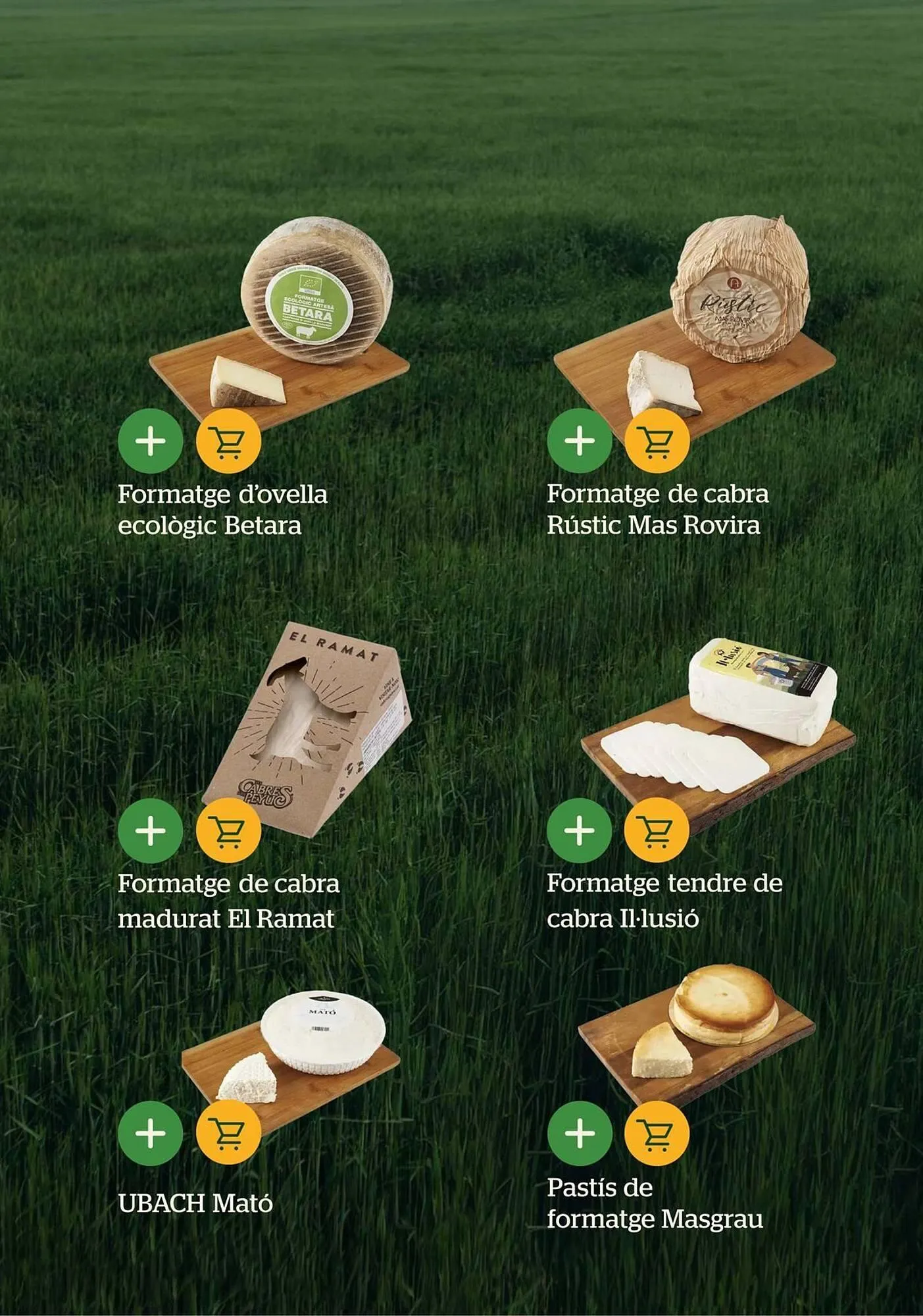 Catálogo de Folleto BonpreuEsclat 30 de enero al 30 de junio 2026 - Página 33