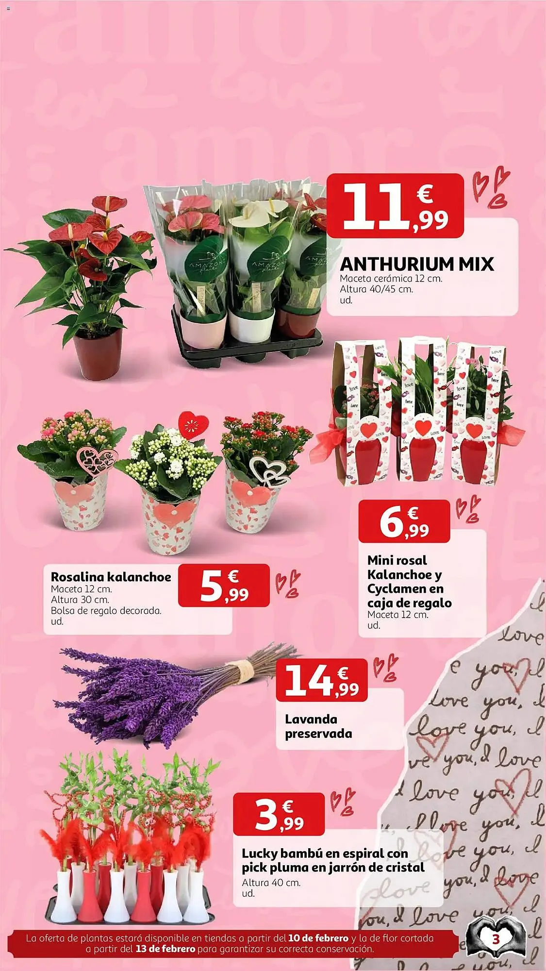 Catálogo de Folleto Alcampo 2 de febrero al 14 de febrero 2026 - Página 2