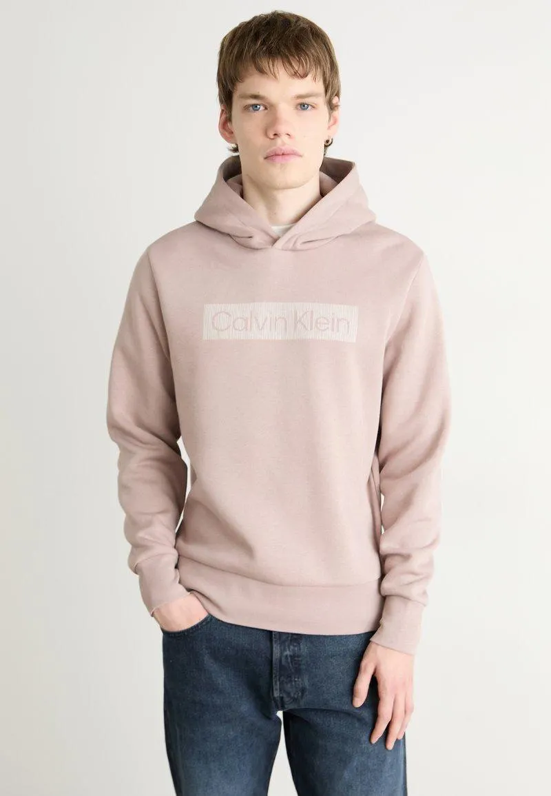 BOX STRIPED LOGO HOODIE - Jersey con capucha - bark