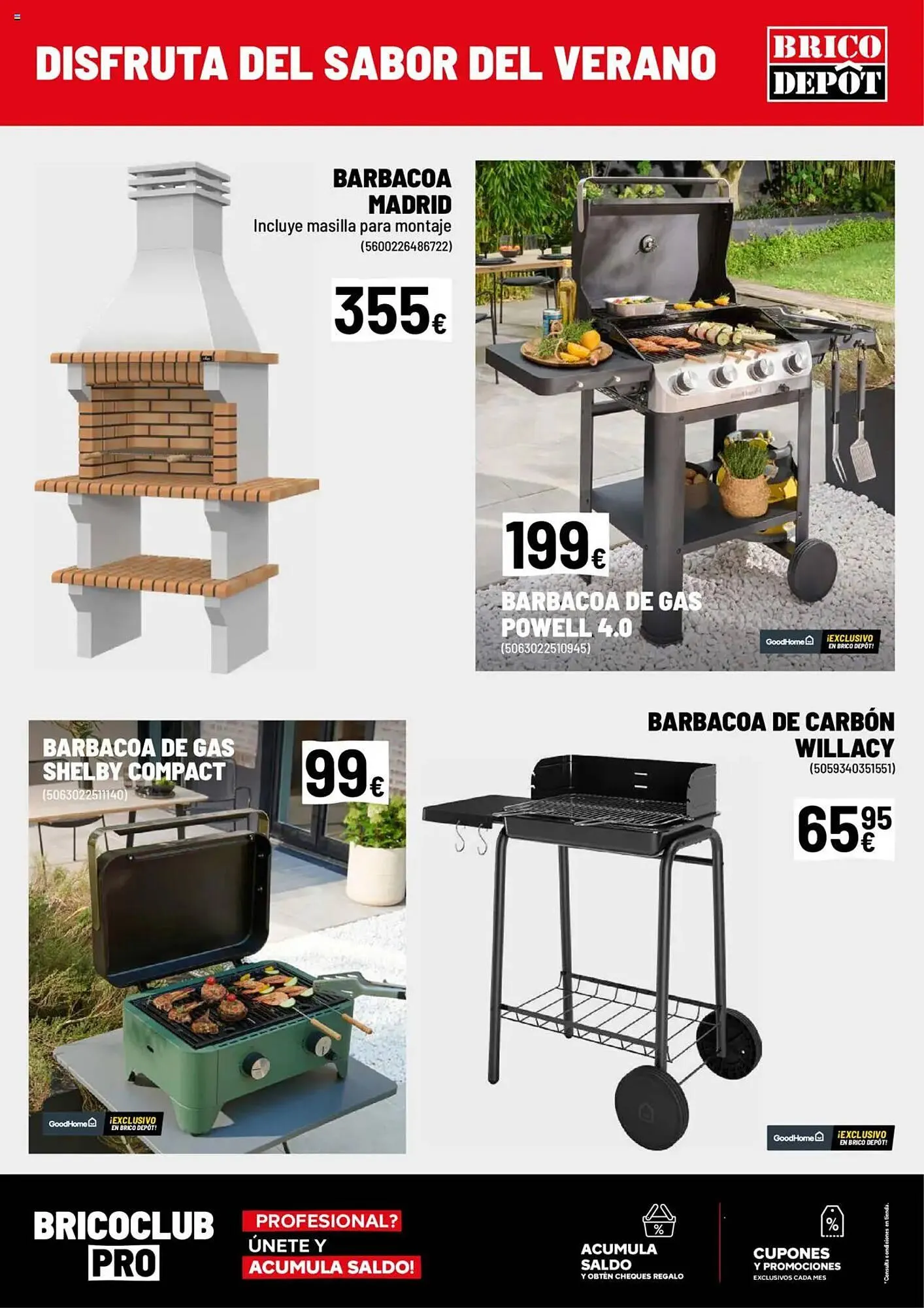 Catálogo de Folleto Brico Depôt 30 de mayo al 26 de junio 2025 - Página 13