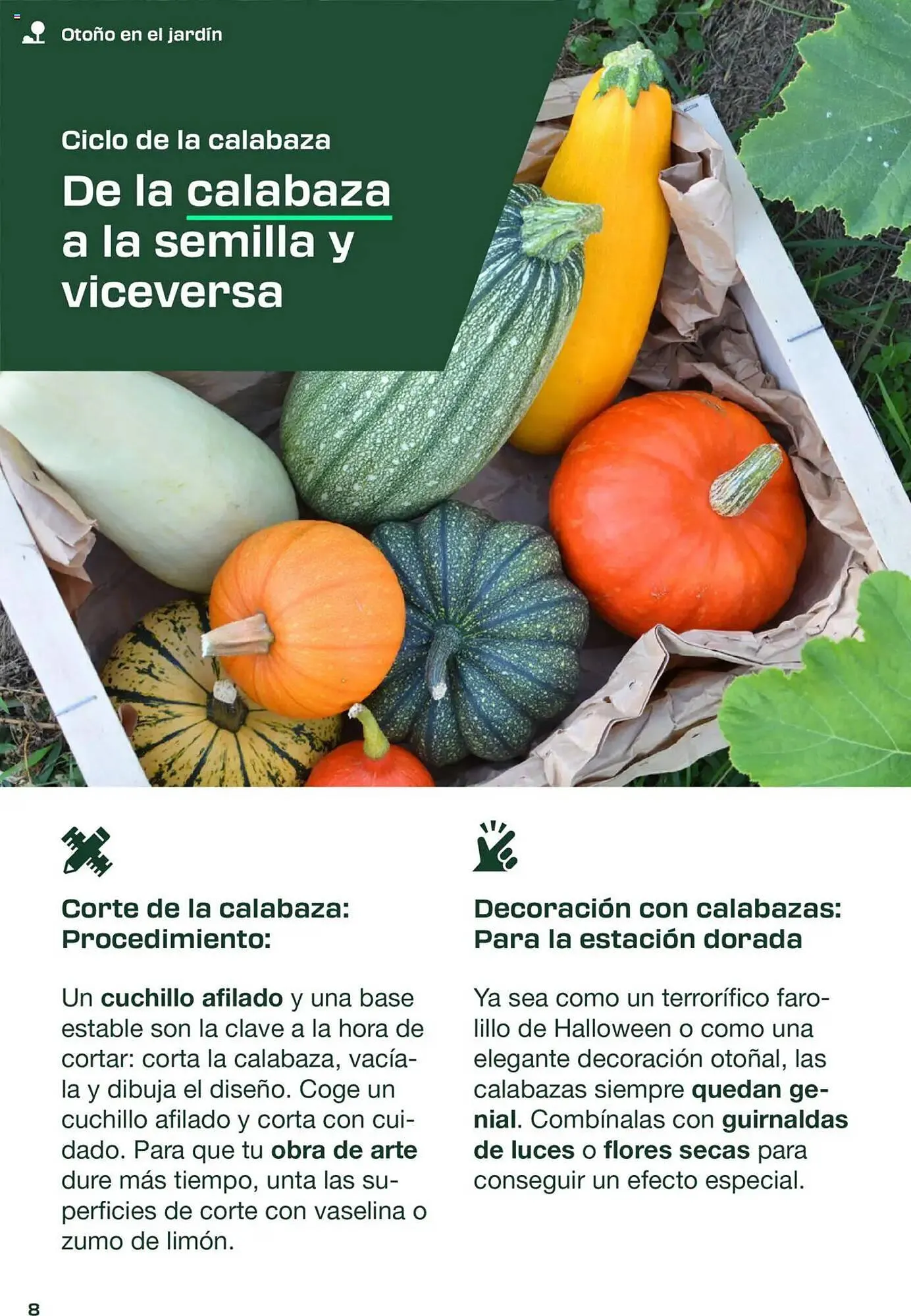 Catálogo de Folleto Lidl 1 de septiembre al 30 de noviembre 2025 - Página 8