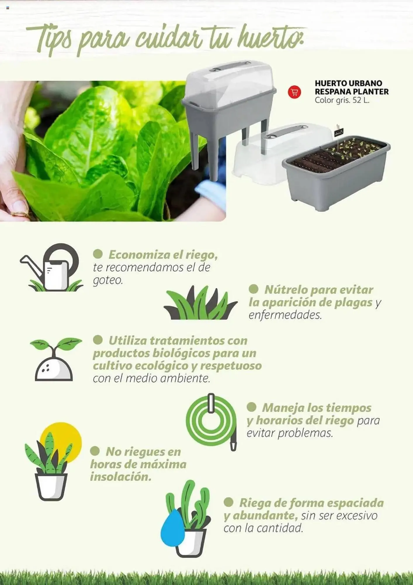 Catálogo de Folleto Alcampo 11 de febrero al 31 de diciembre 2025 - Página 13