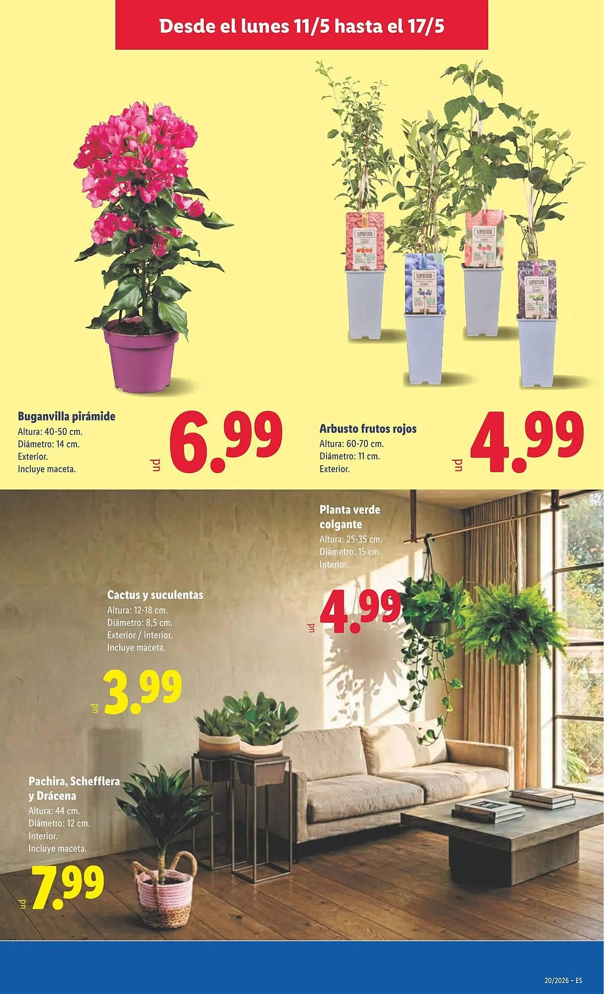 Catálogo de Catálogo Lidl 11 de mayo al 17 de mayo 2026 - Página 41