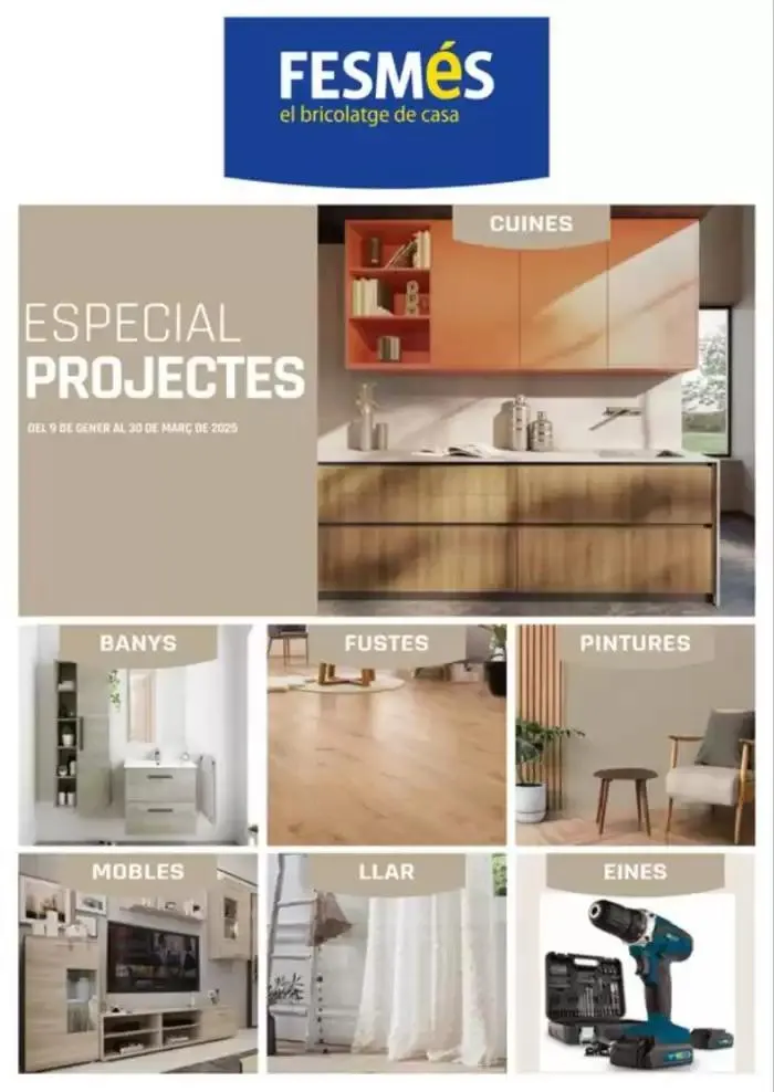 Especial Projectes - 1