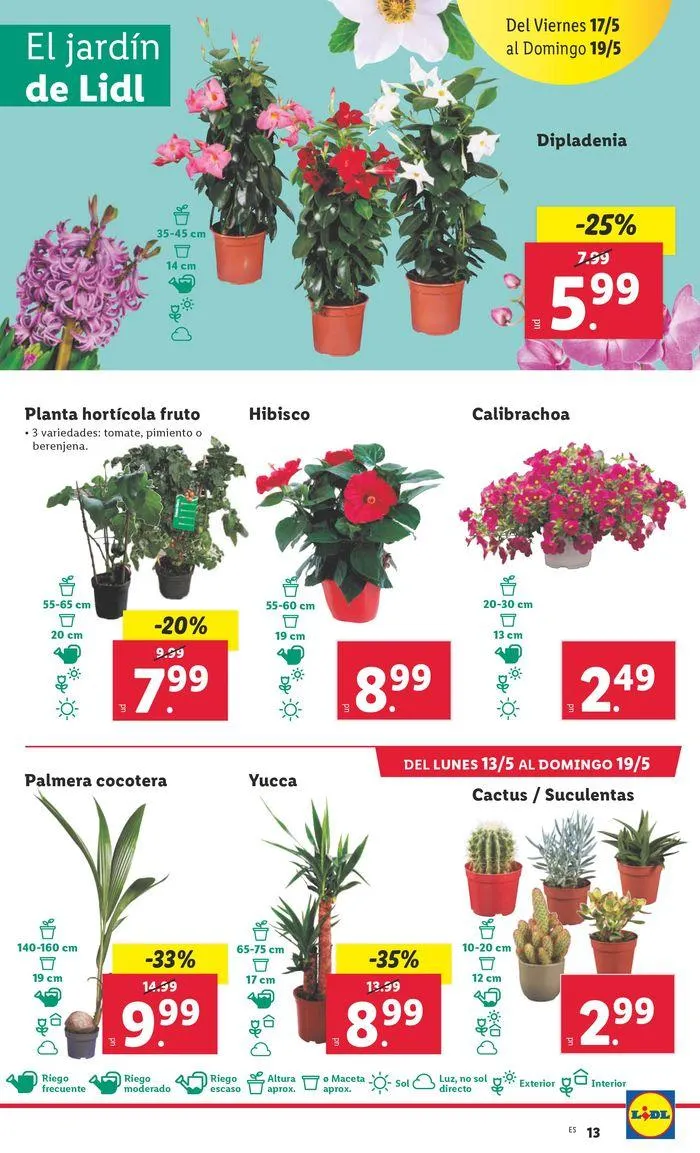 Catálogo de Bazar Lidl 13 de mayo al 19 de mayo 2024 - Página 33